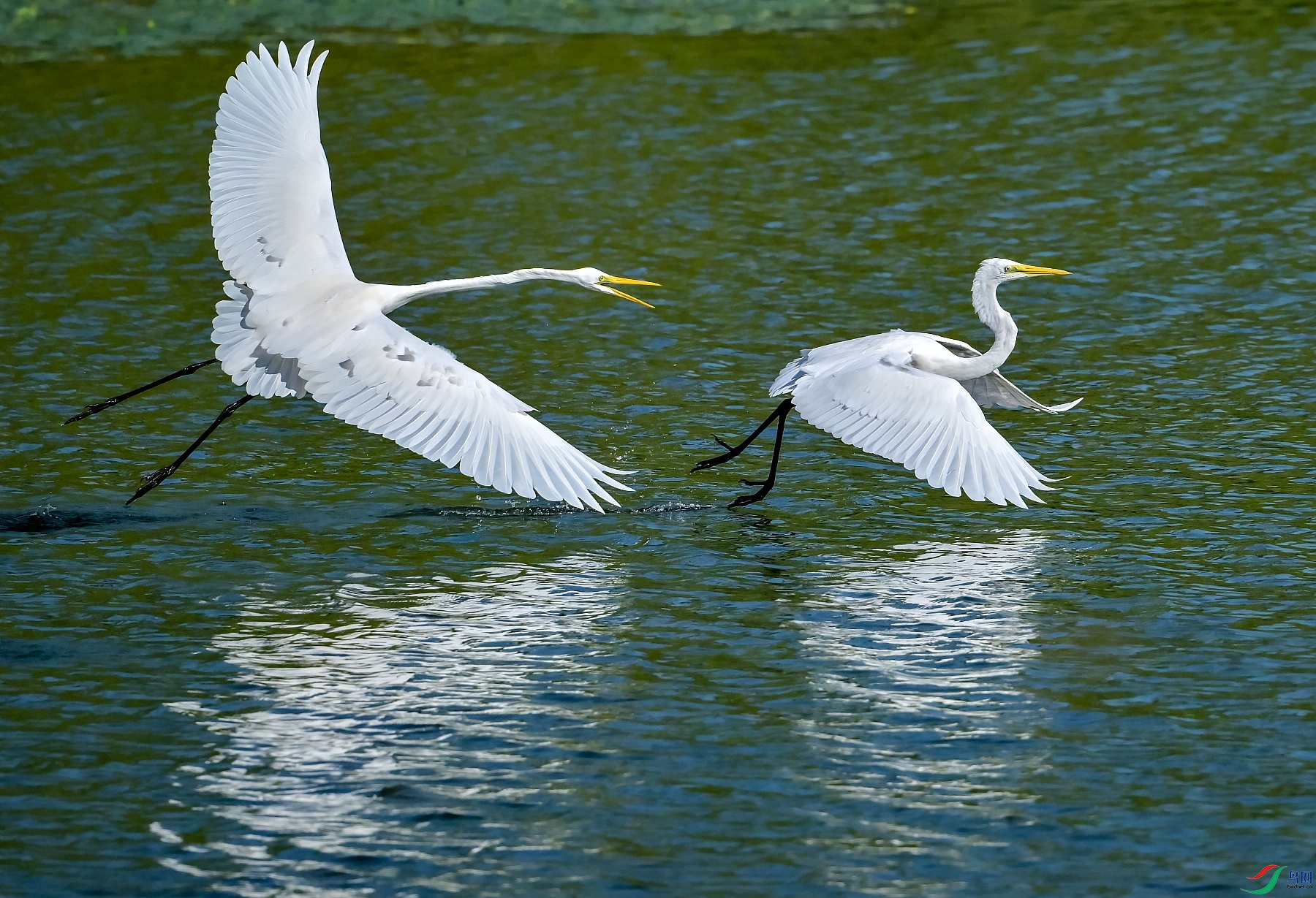 DSC_0774---_conew1.jpg