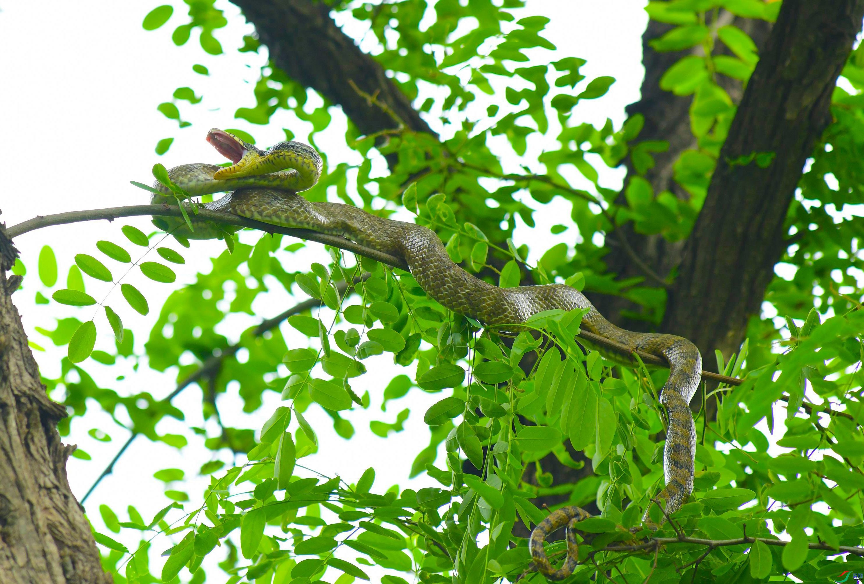 DSC_6163.JPG