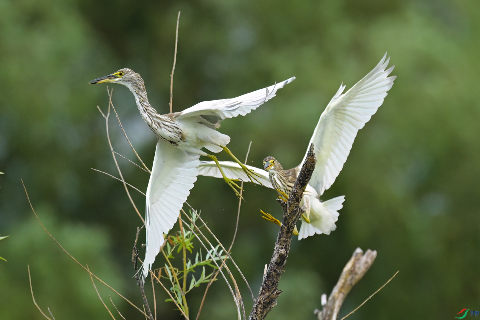 DSC_1753.jpg