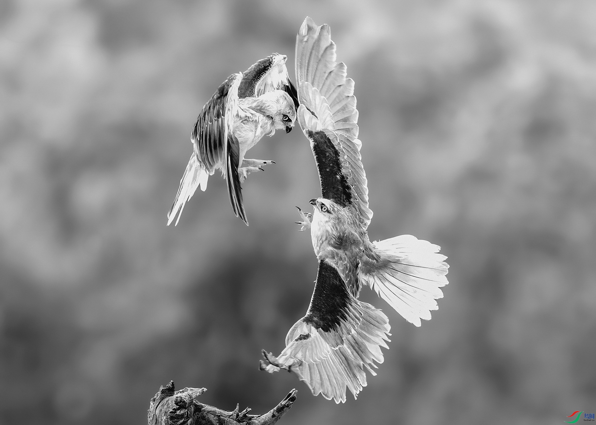 0_D5D3263-0.jpg