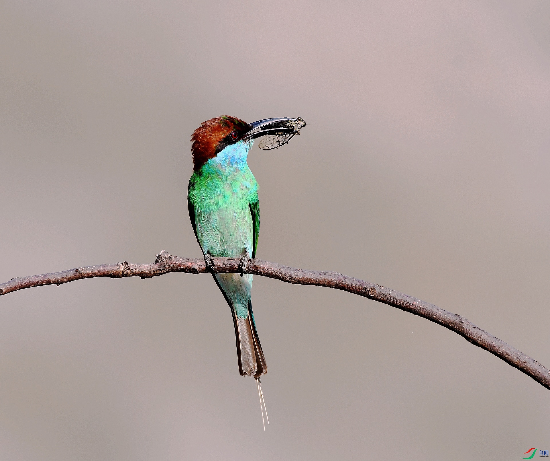 DSC_8137.jpg