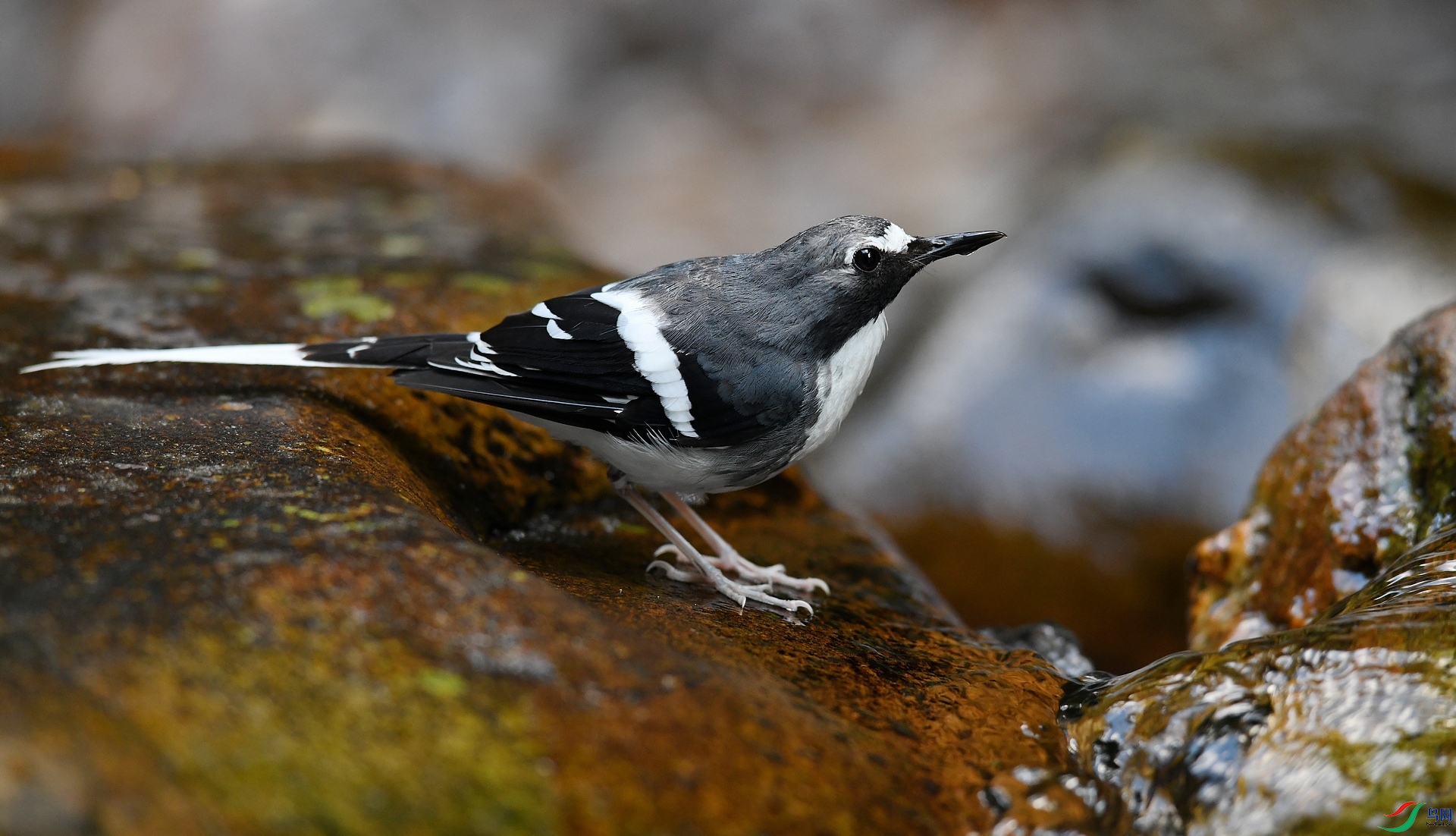 DSC_3798.jpg