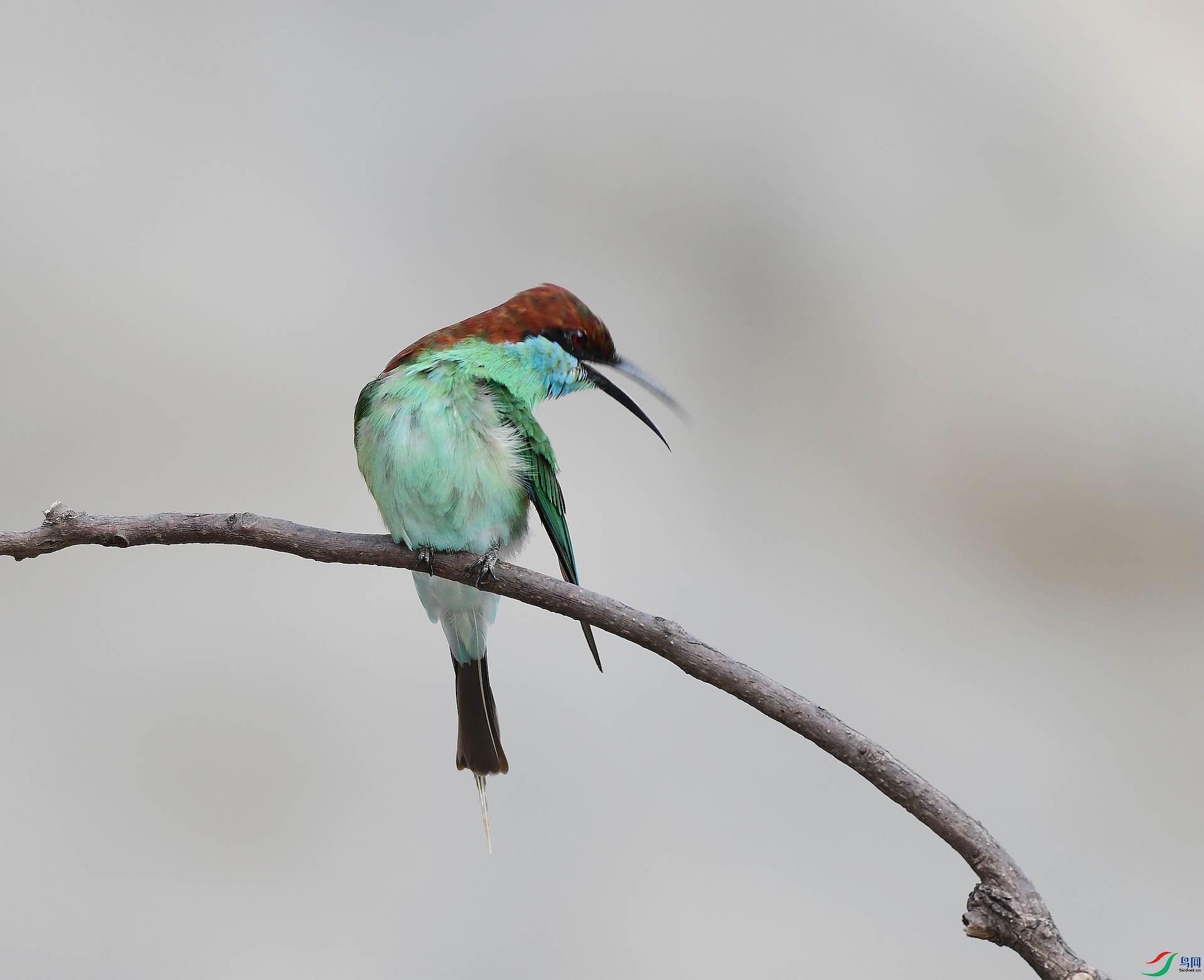 DSC_2331.jpg