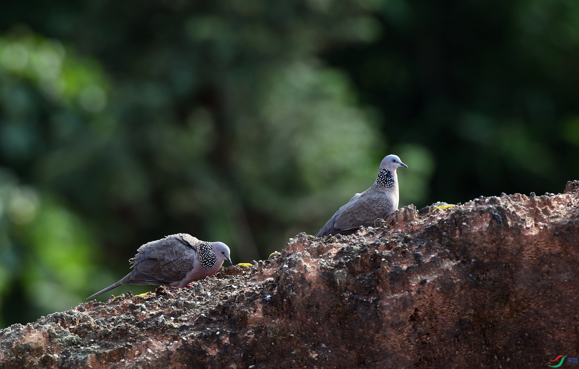 DSC_0168.jpg
