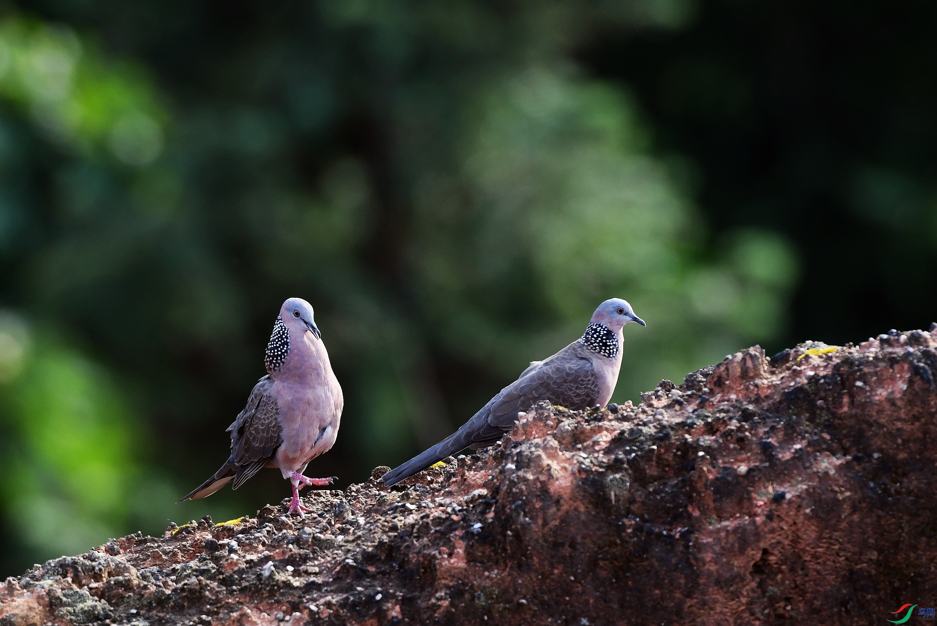 DSC_0167.jpg