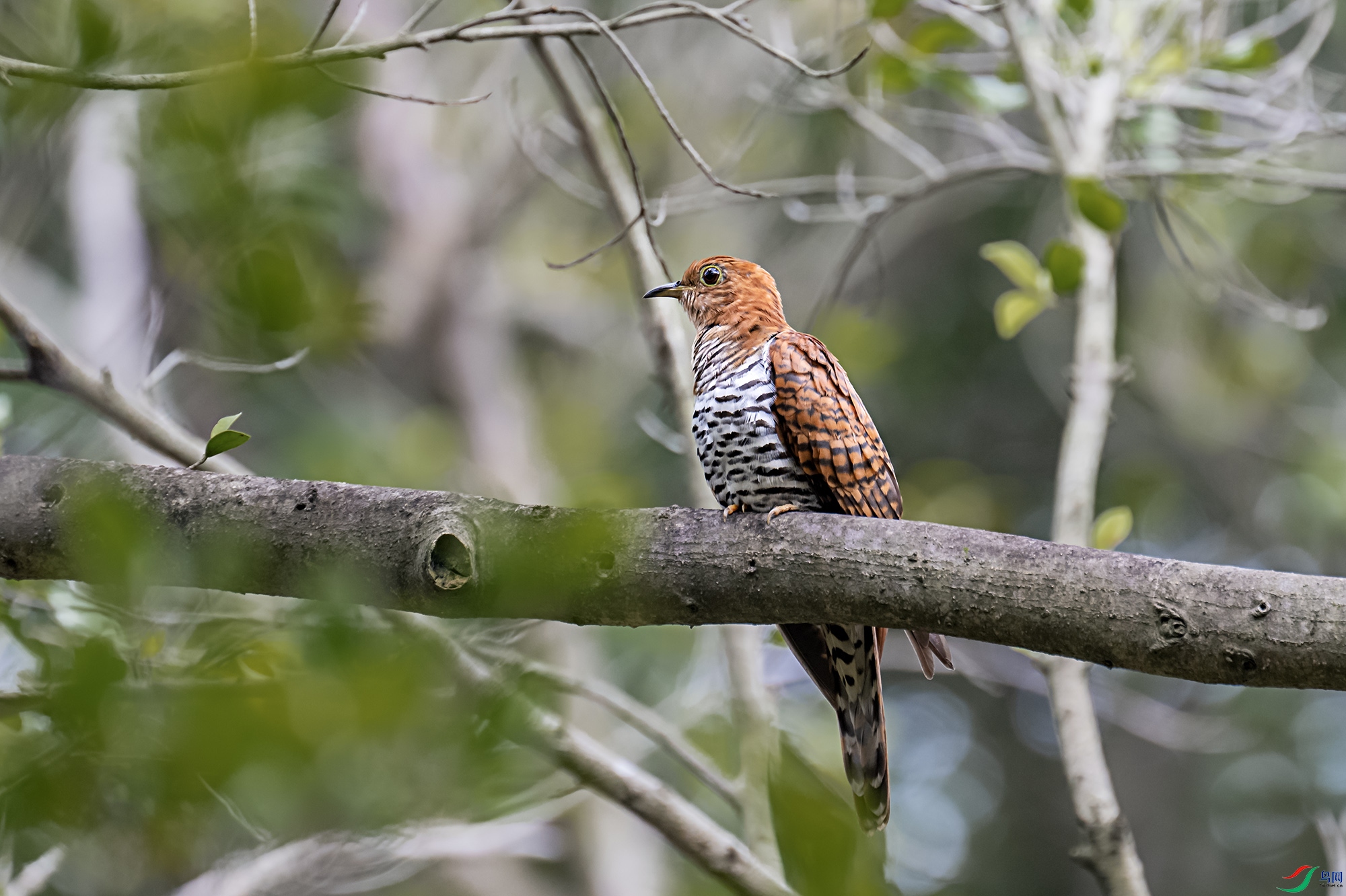 DSC_2669.jpg