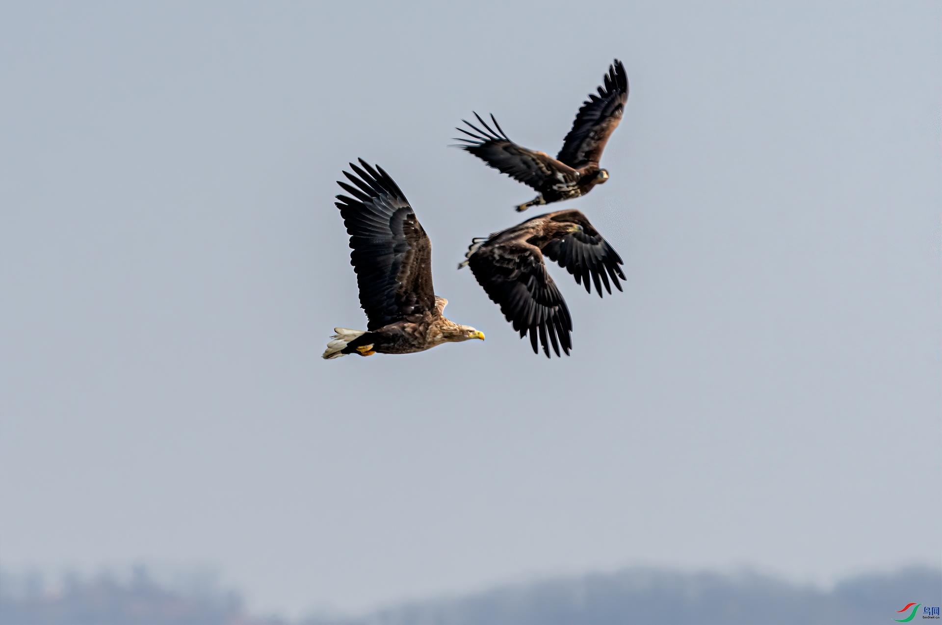 _DSC1452-11.jpg