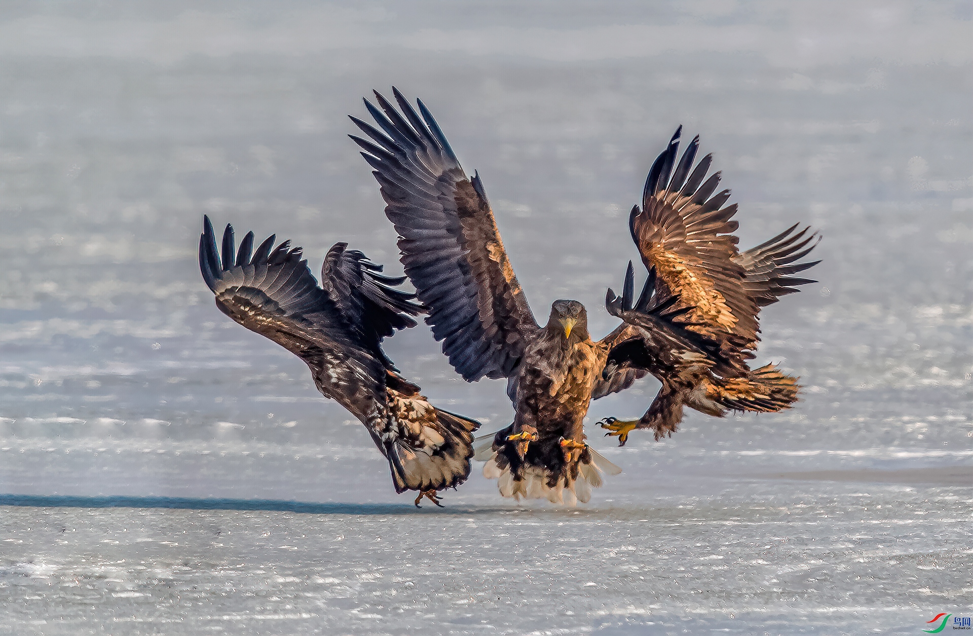 DSC_4551-11.jpg
