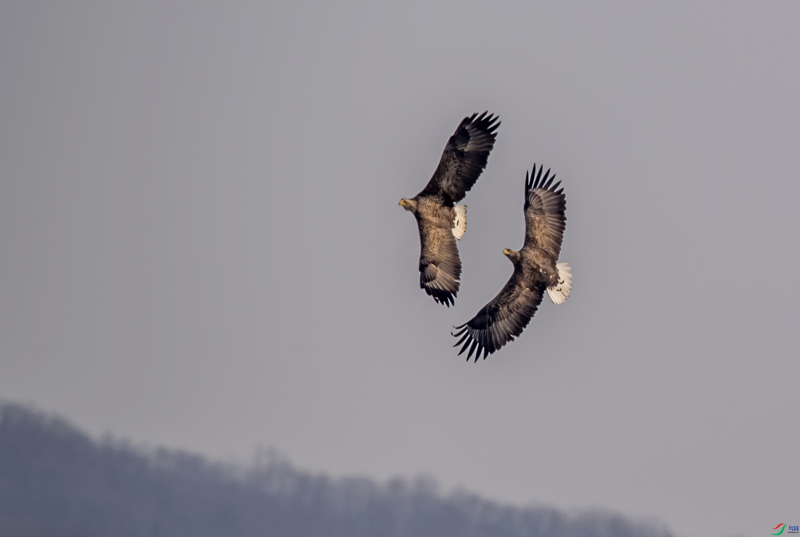 DSC_3791a.jpg