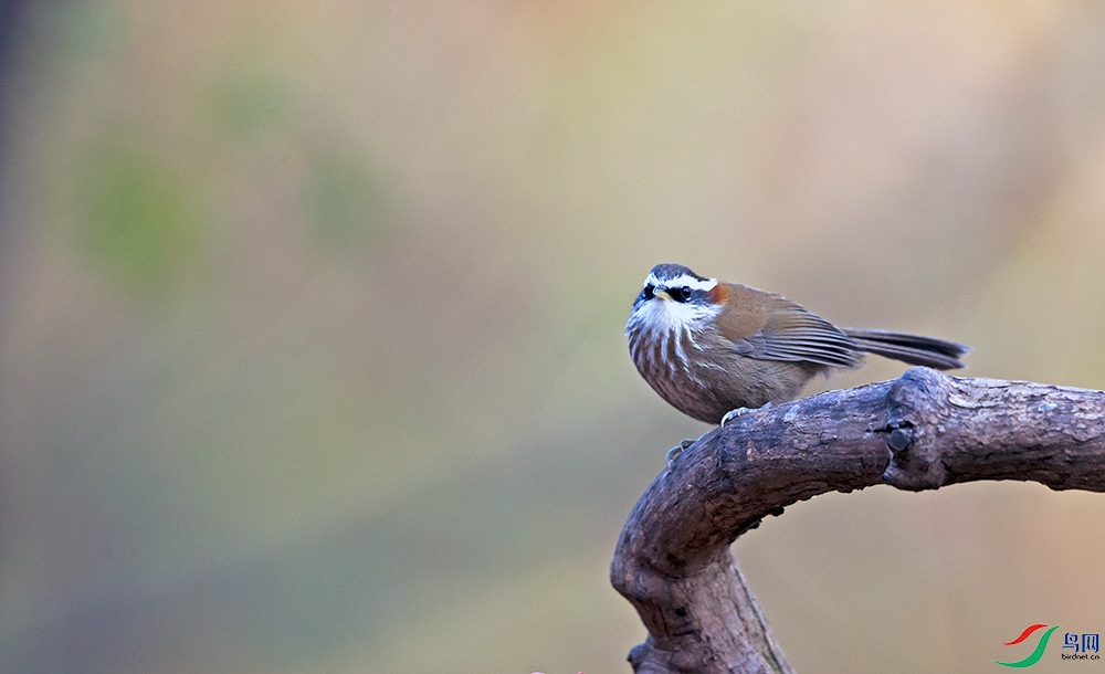 _GH_5470.jpg