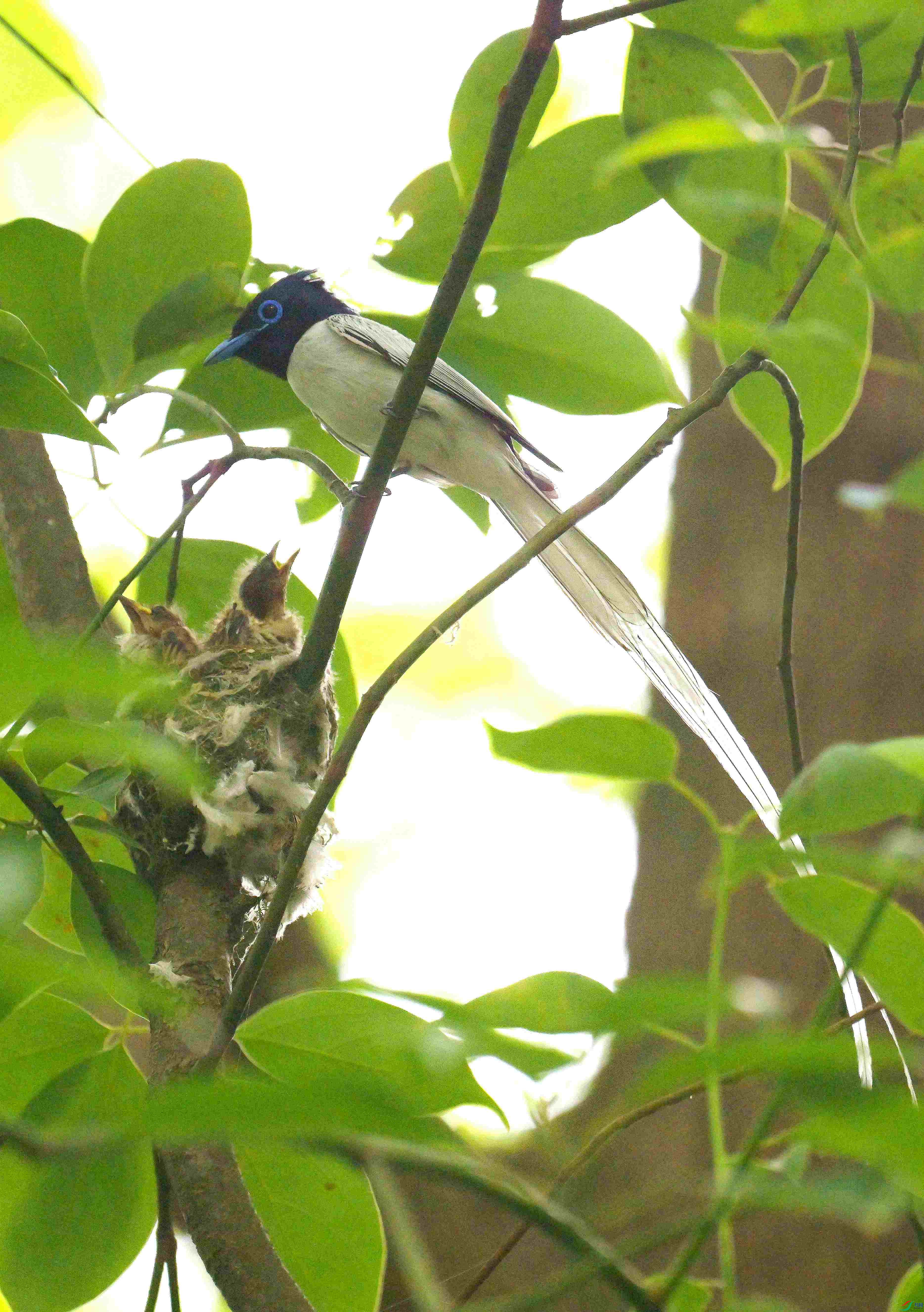 DSC_9061.jpg