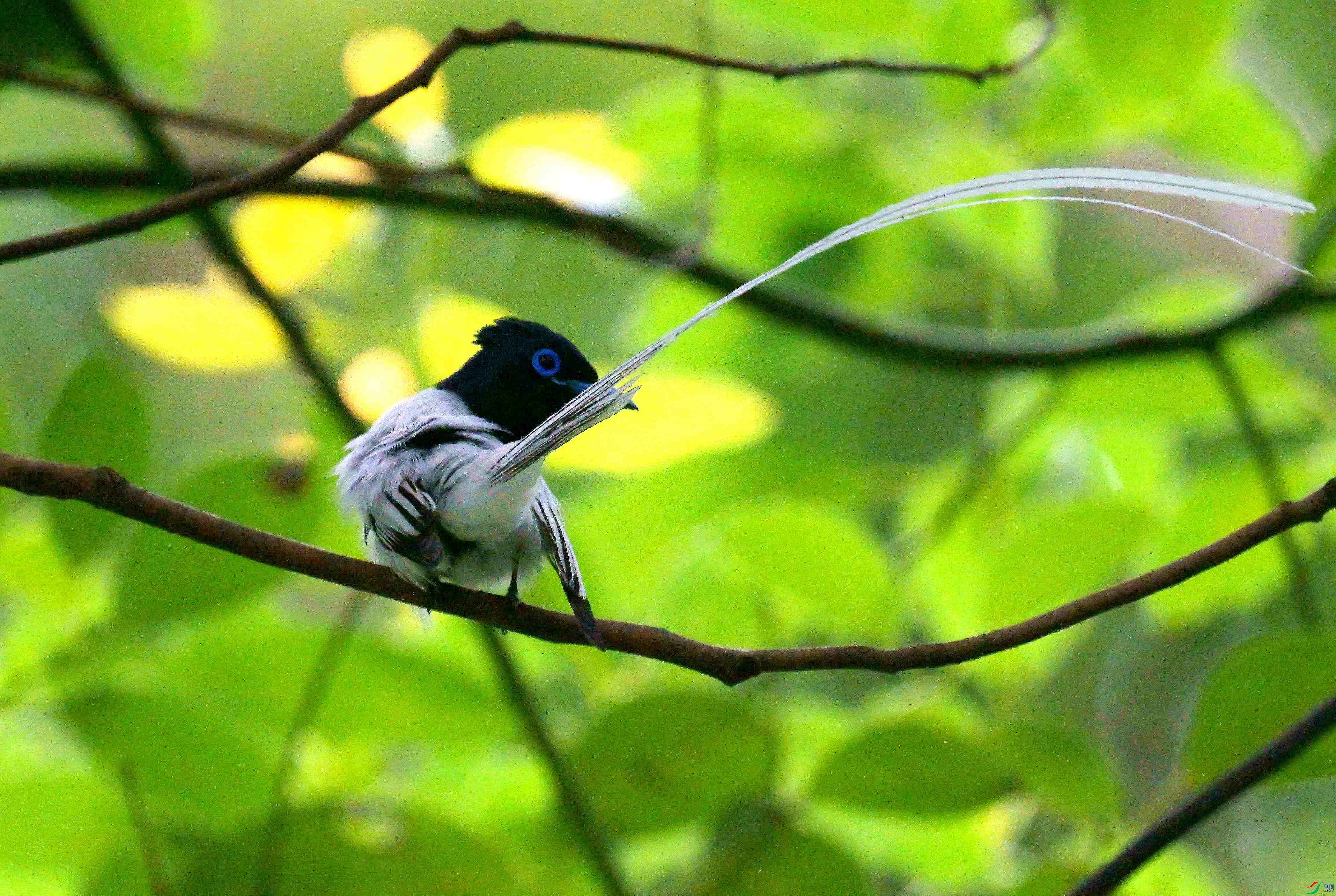 DSC_9183.jpg