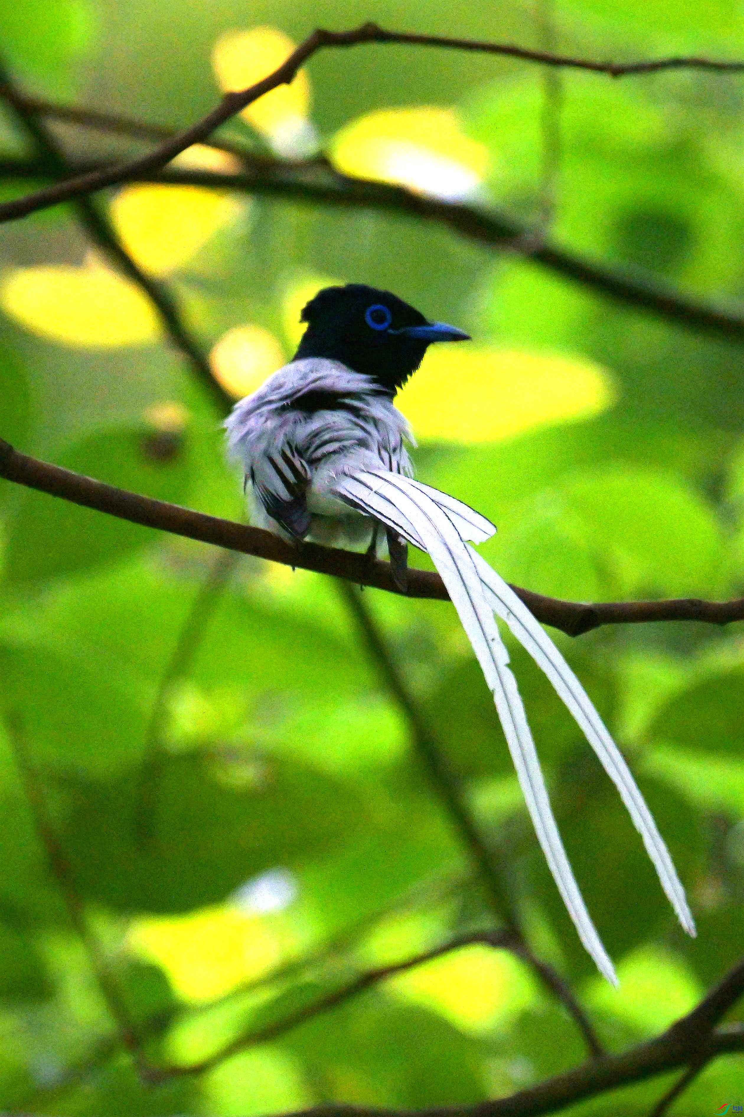 DSC_9192.jpg