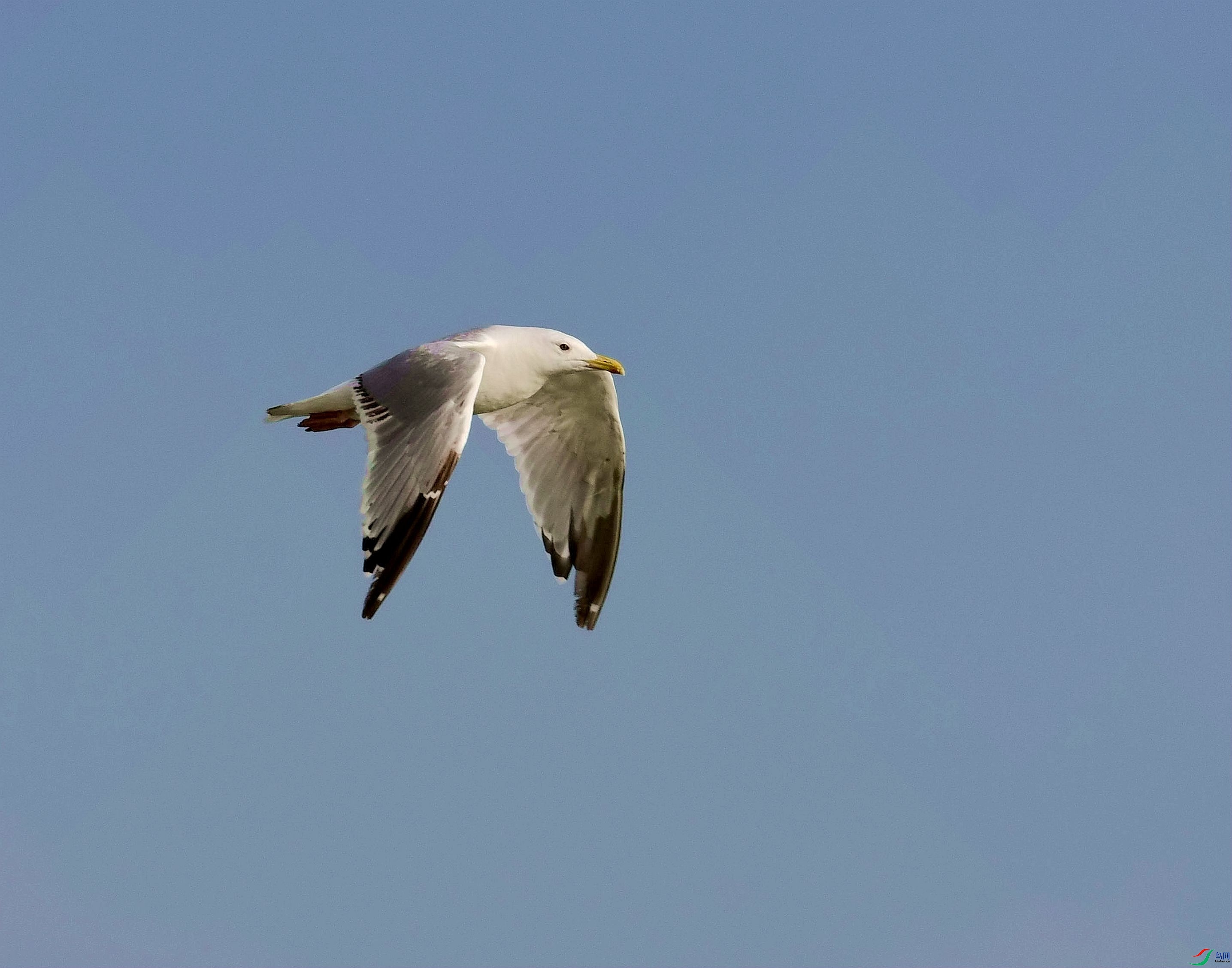 DSC_5915_����.jpg
