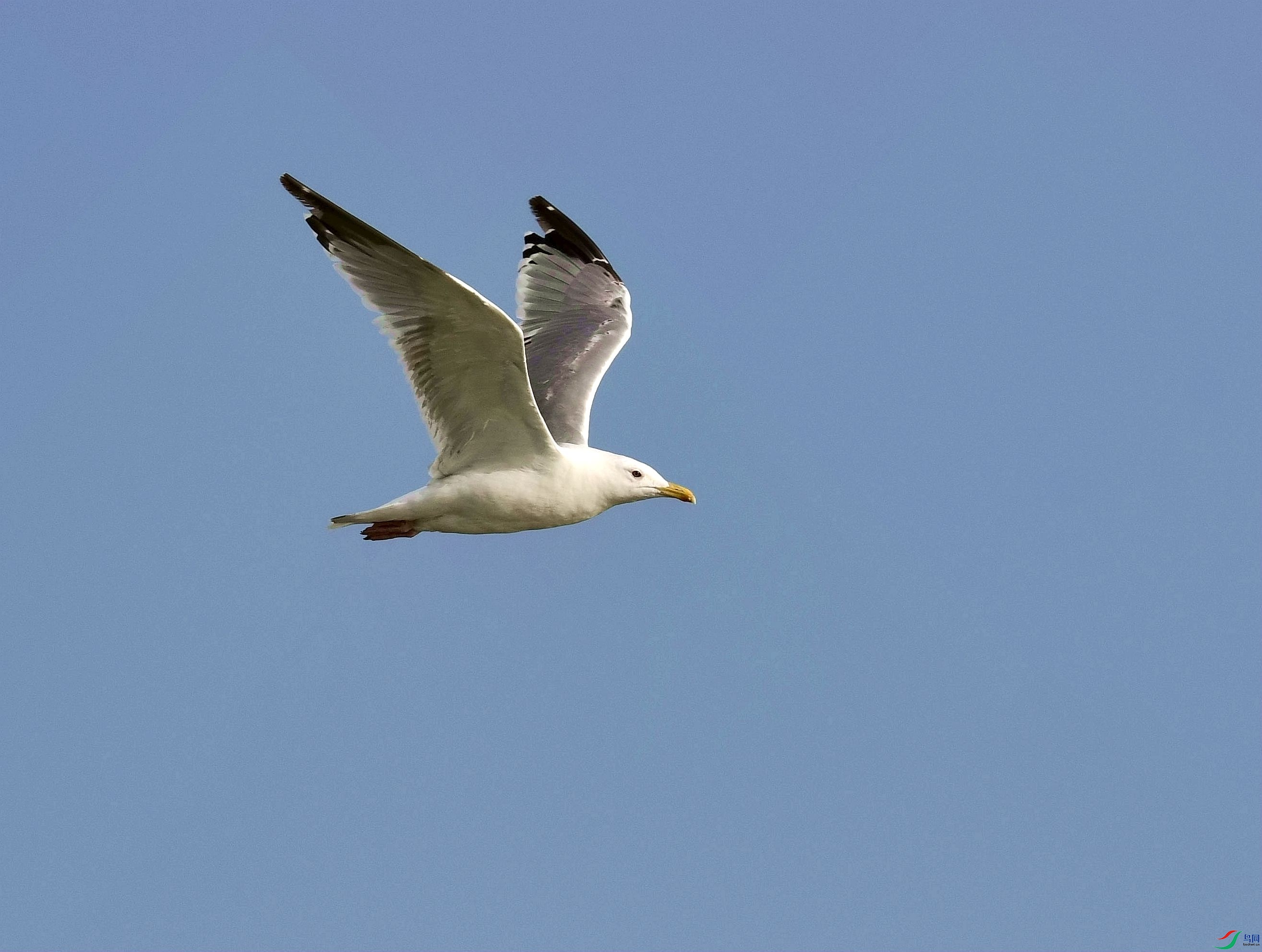 DSC_5917_����.jpg