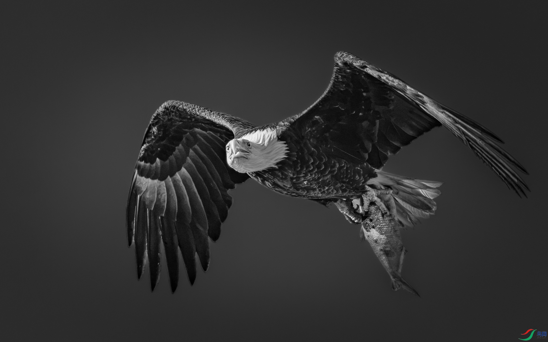 9I6A9560_1.jpg