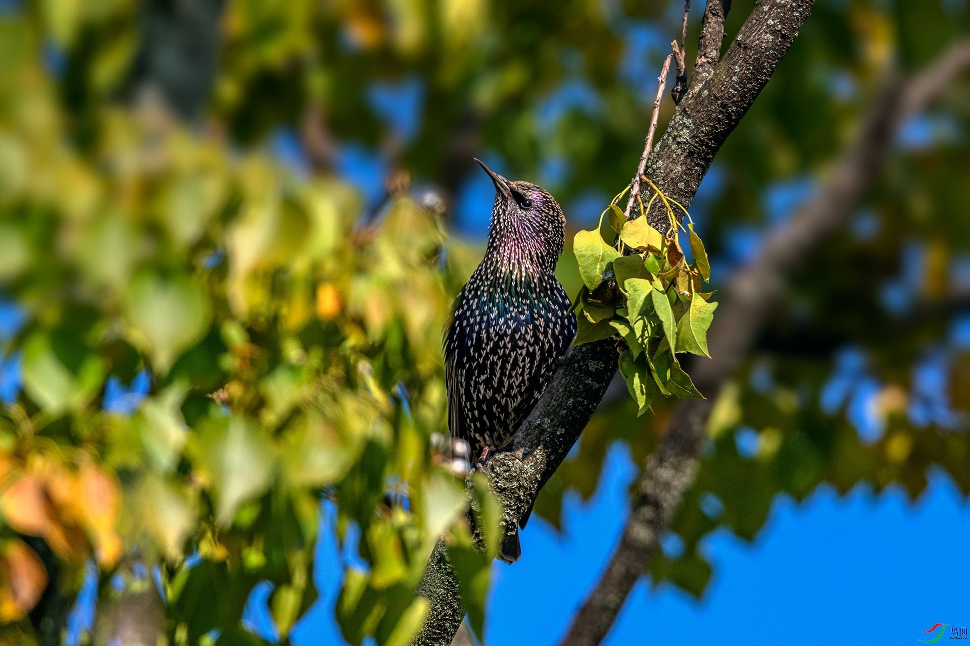 _AUU1102�ϳ����(25.11.26).jpg