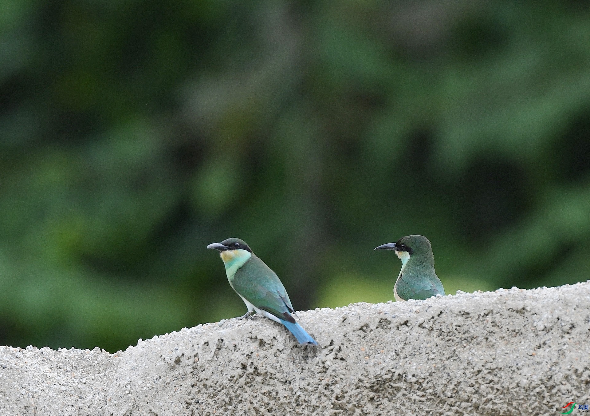 DSC_4690.jpg