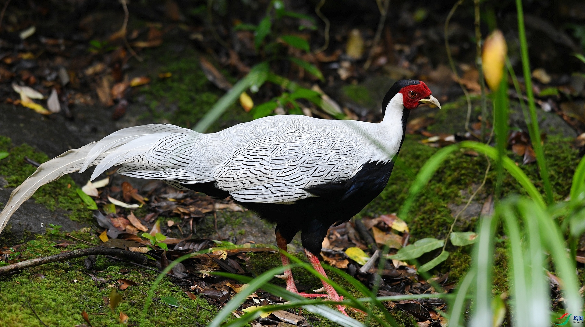 DSC_6885.jpg