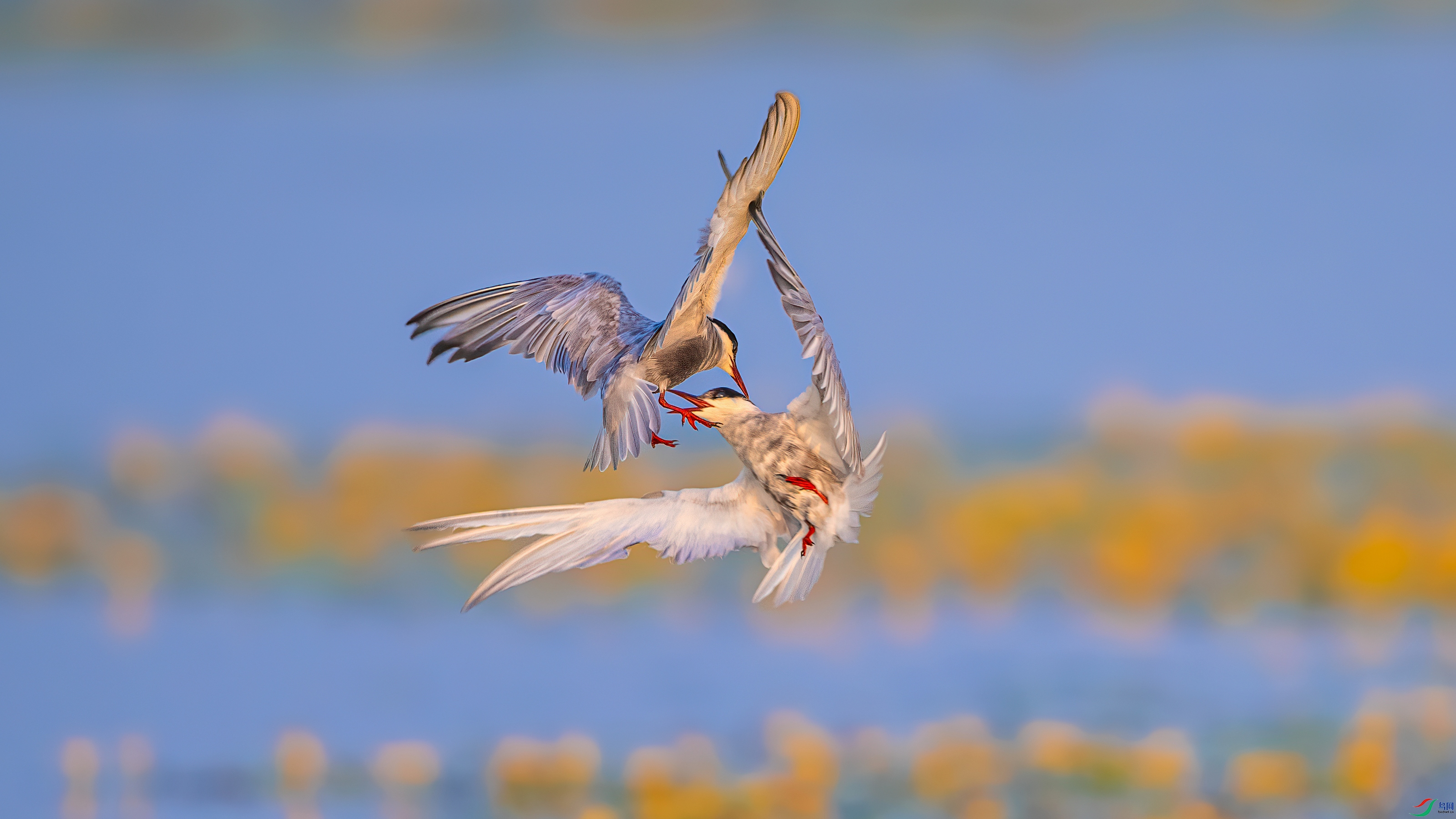 ��ƬDSC_6589 ����.jpg