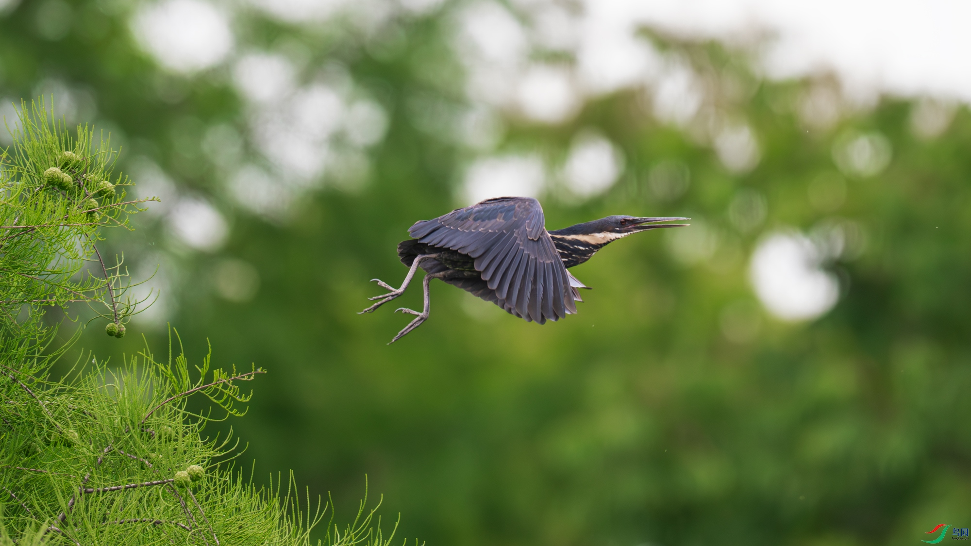 DSC_5686.jpg