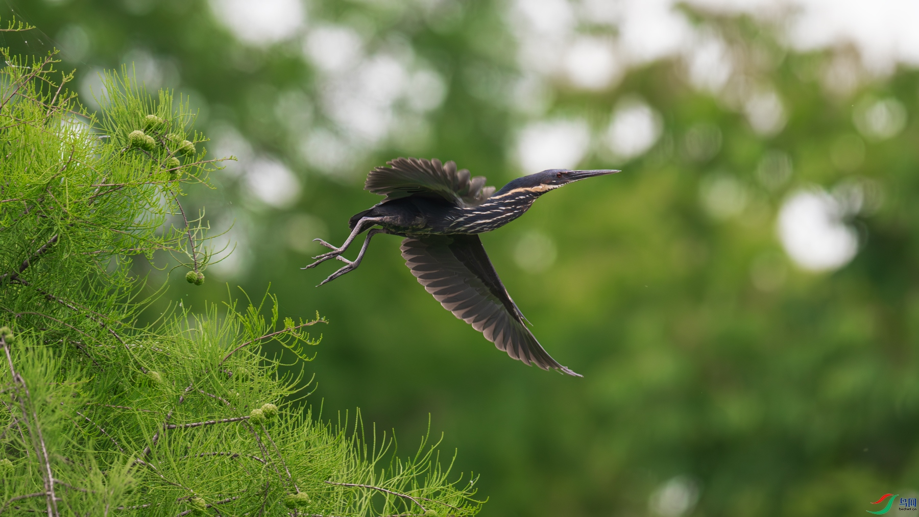 DSC_5685.jpg