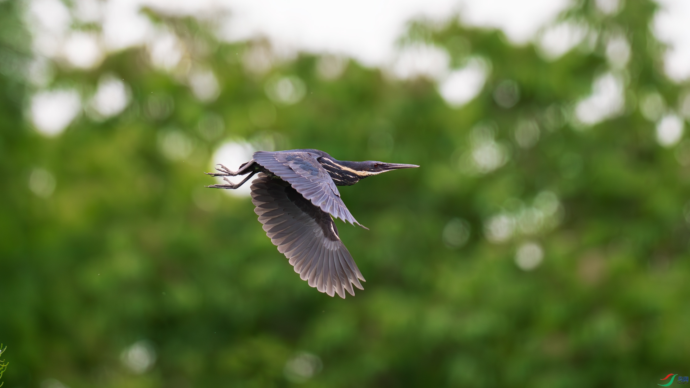 DSC_5689.jpg