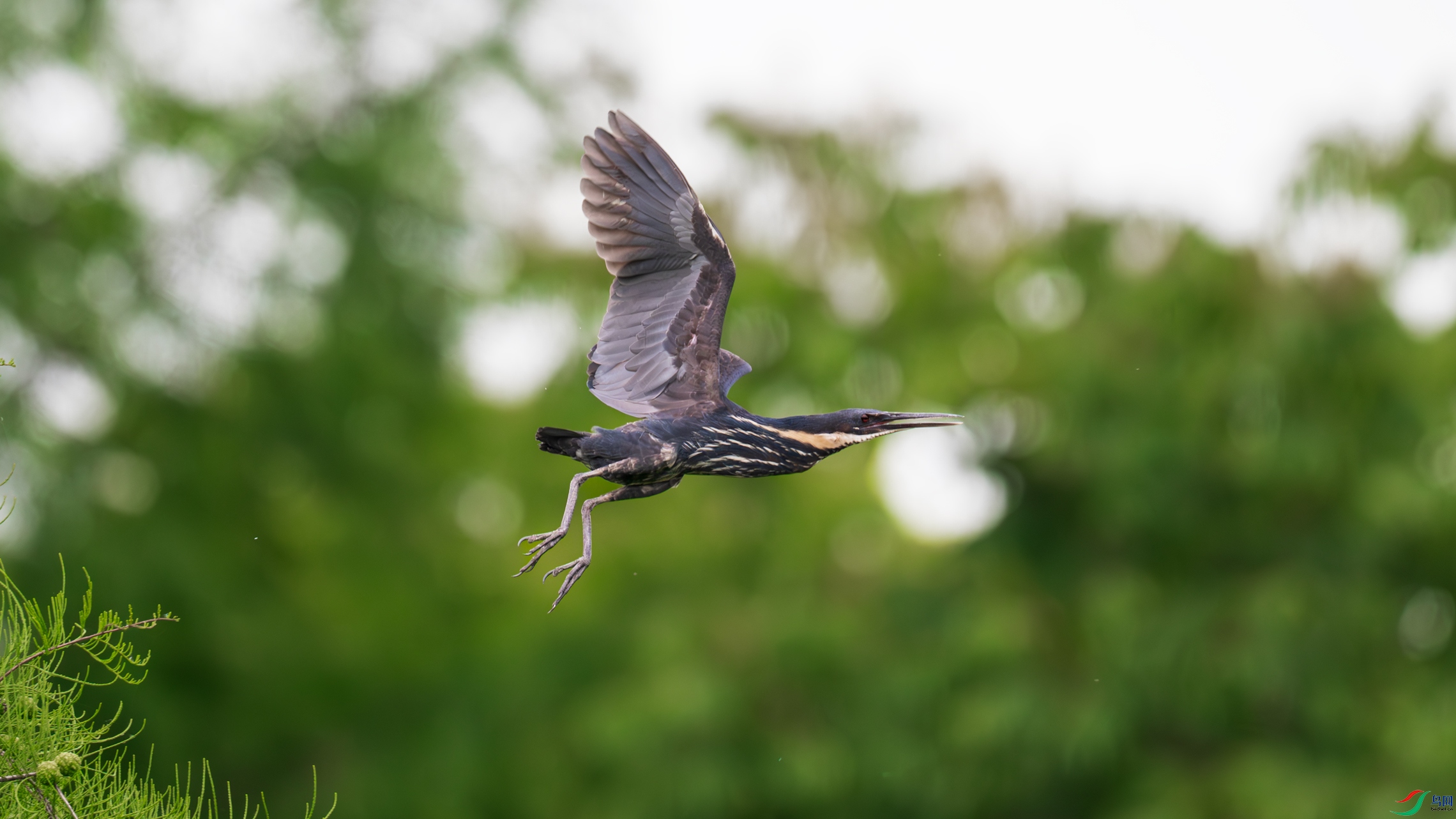 DSC_5687.jpg