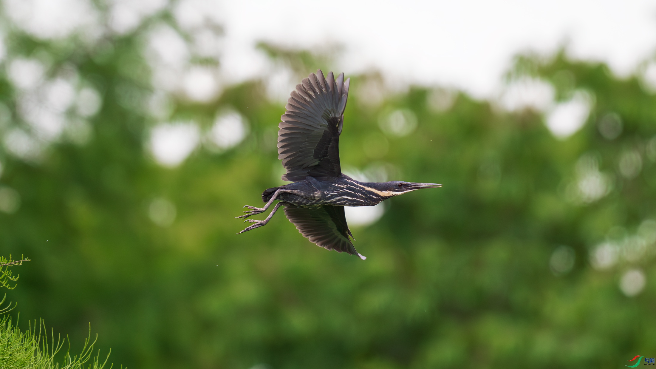 DSC_5688.jpg