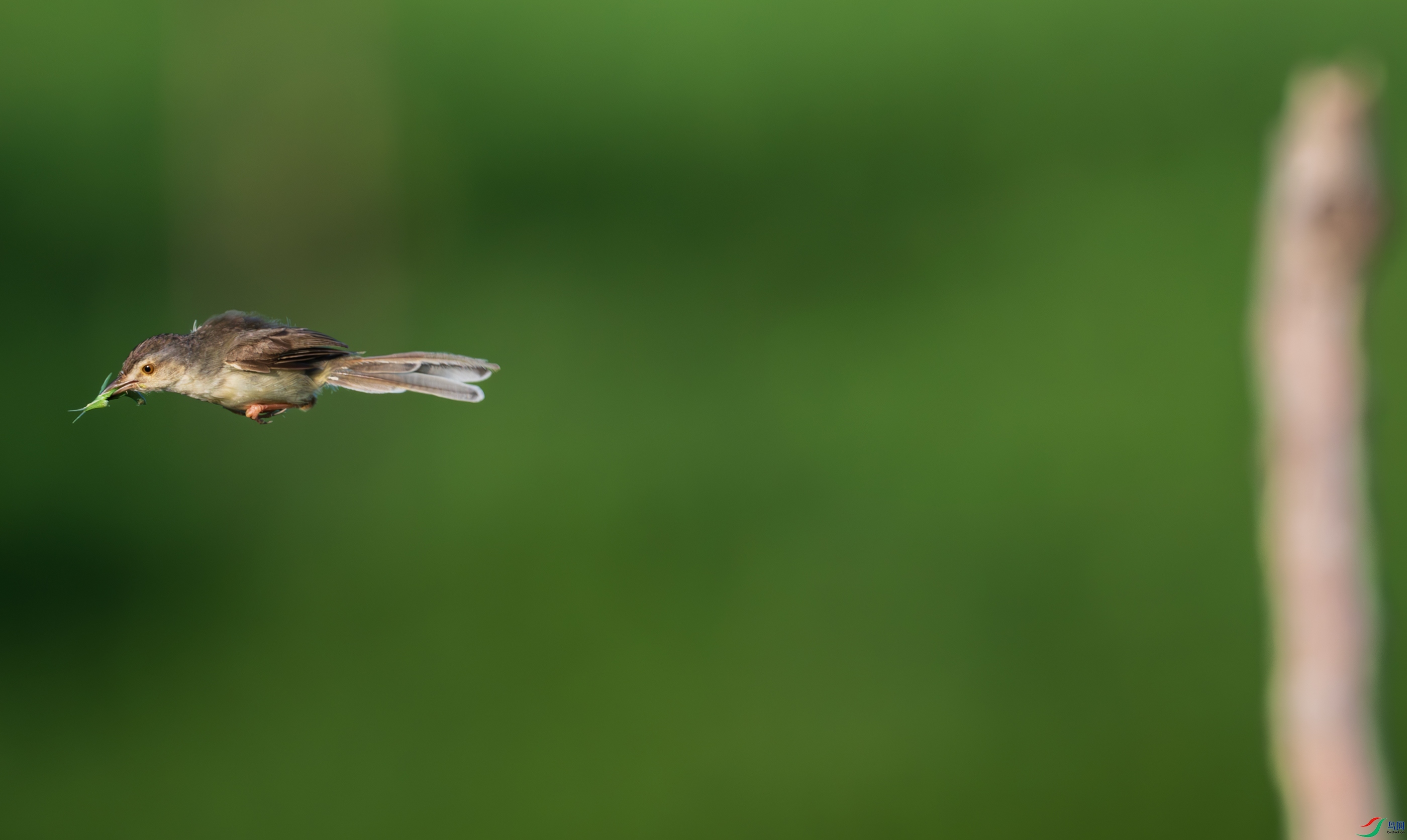 DSC_5670.jpg