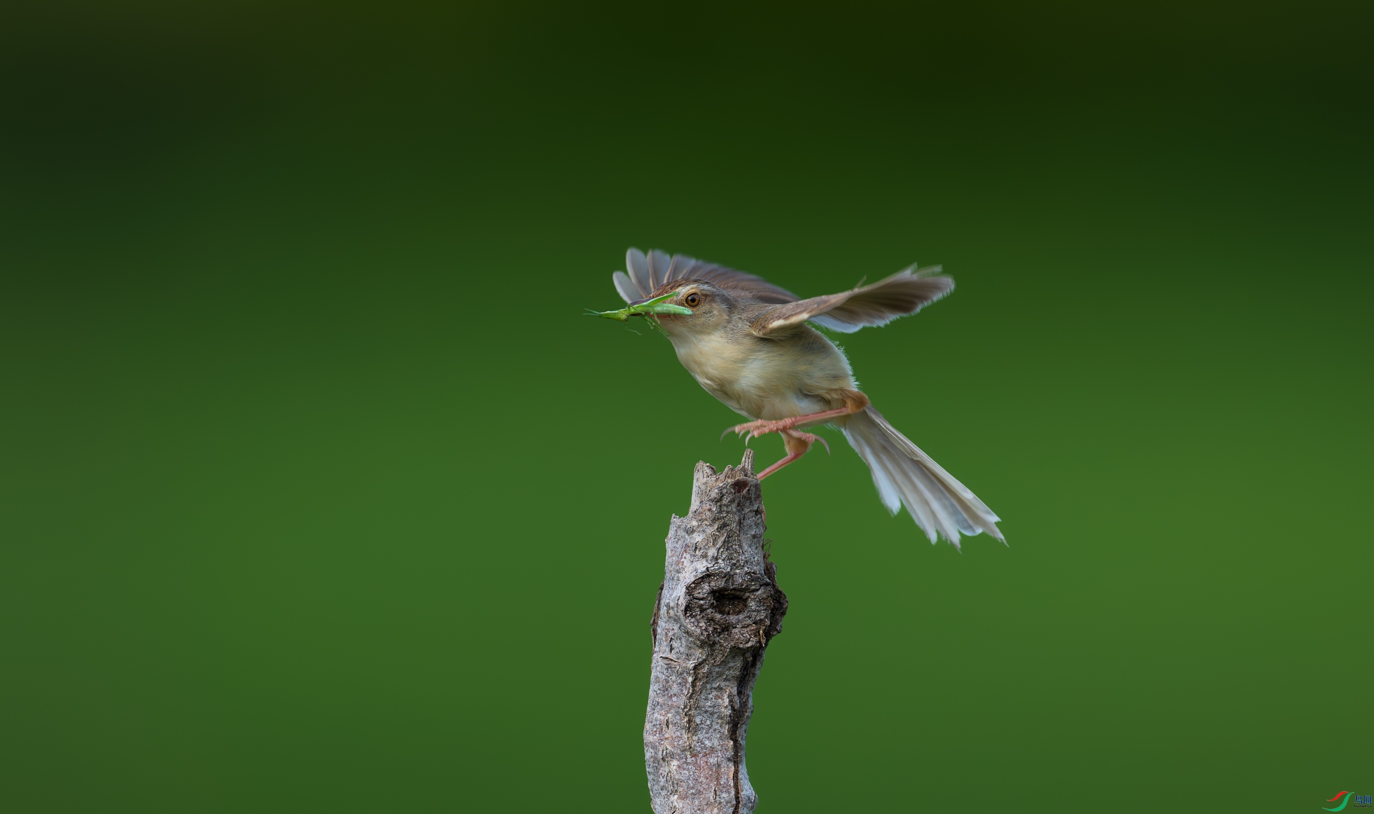 DSC_4882.jpg