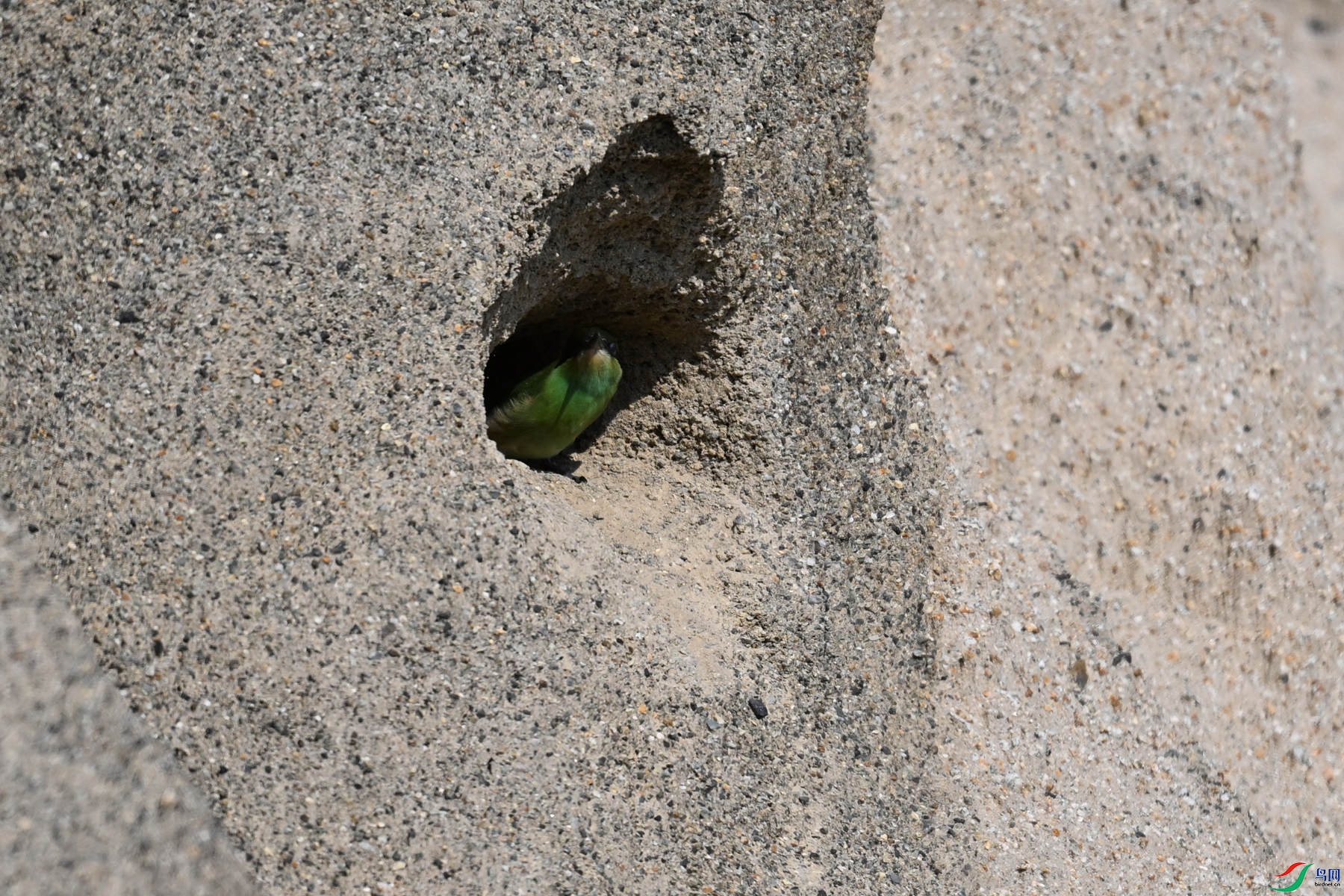 DSC_2548.JPG