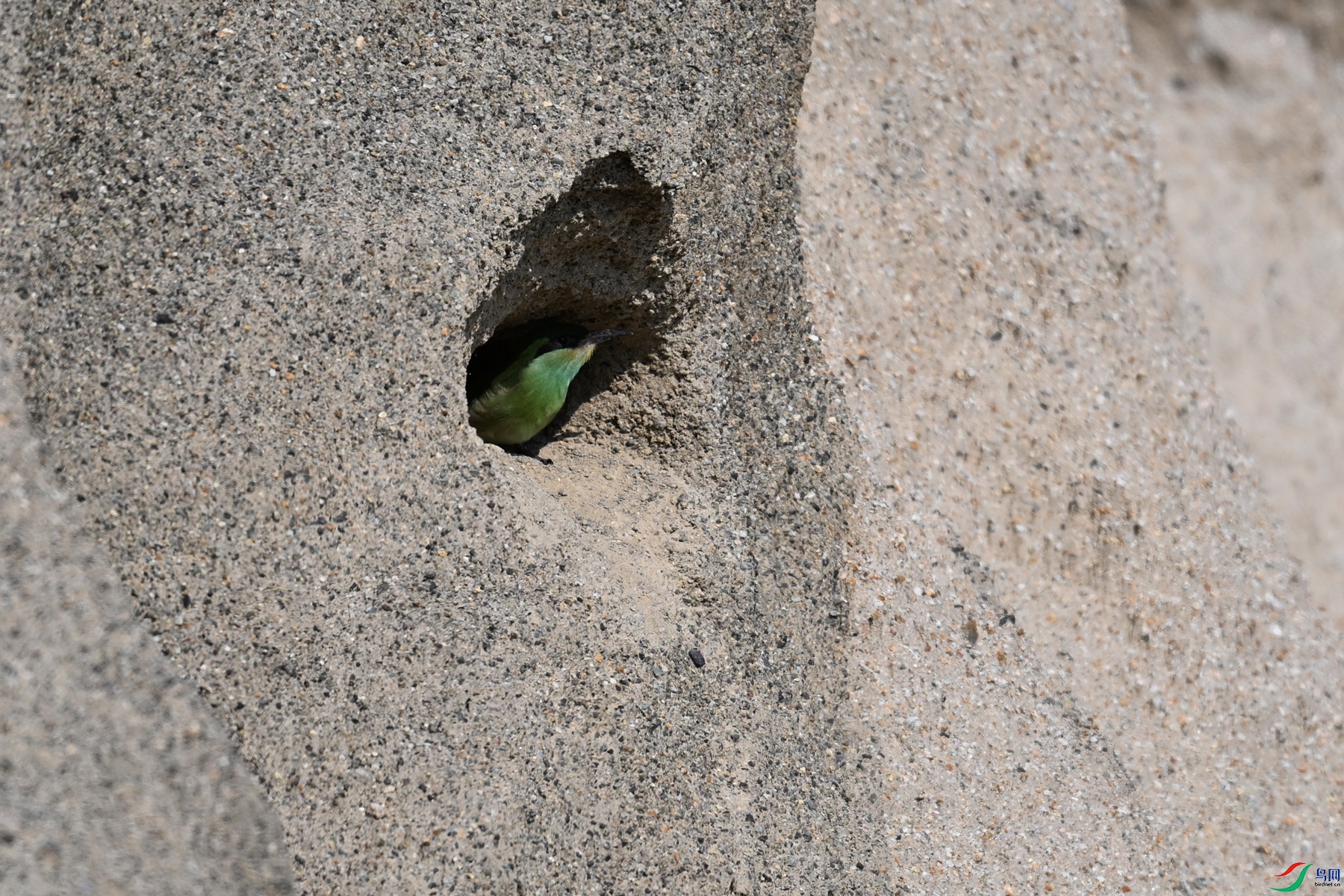 DSC_2554.JPG