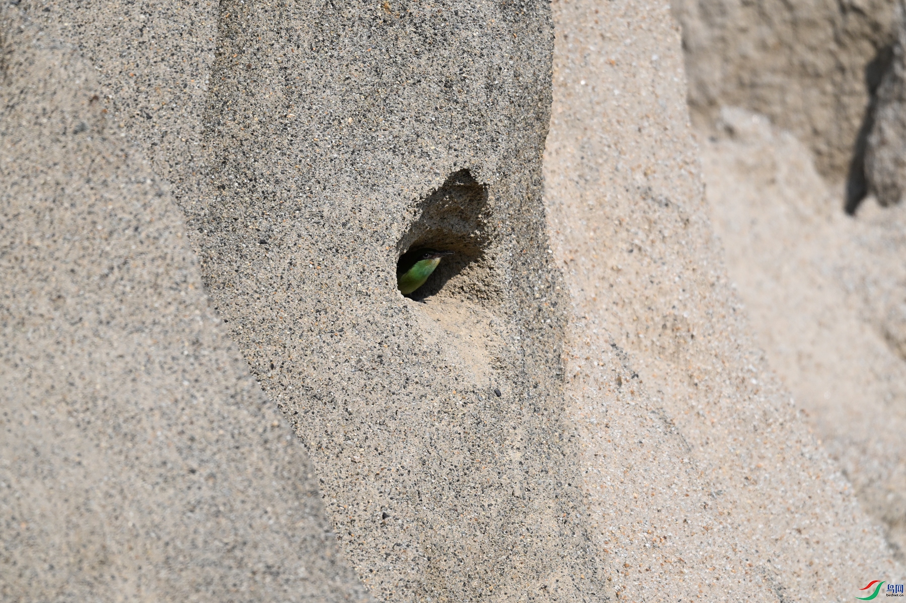 DSC_2572.JPG