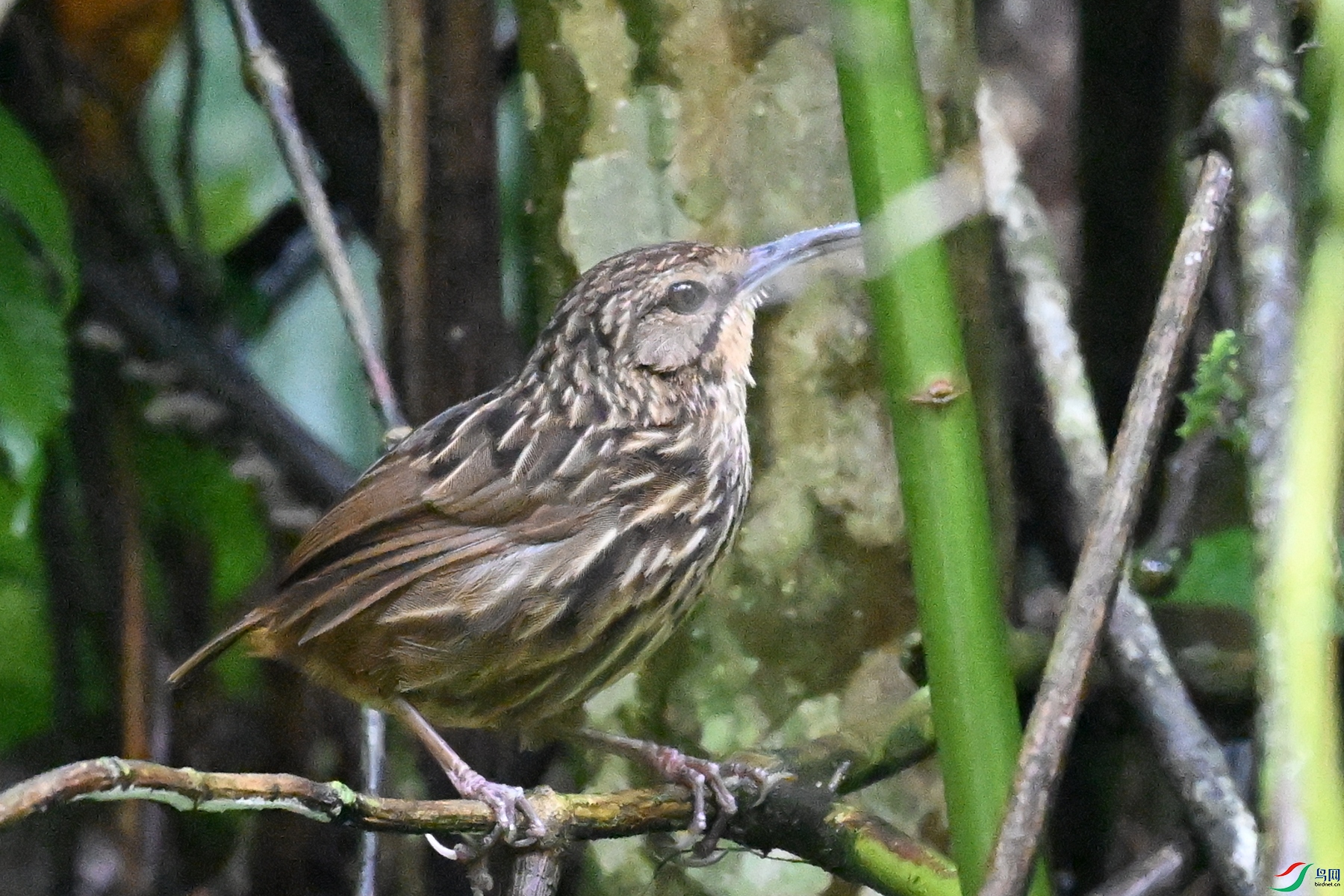 DSC_0564.JPG