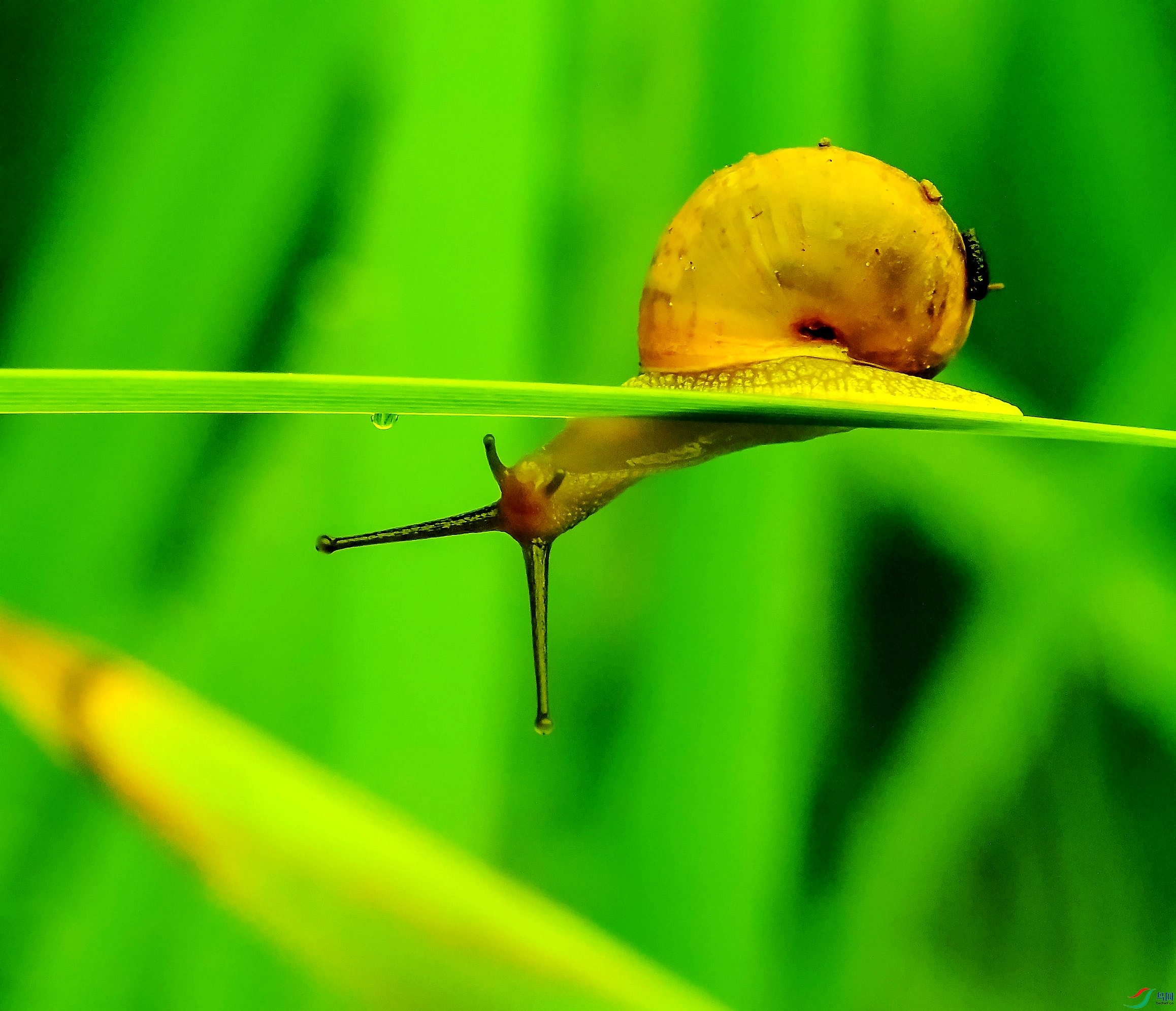 DSC_3629---_conew1.jpg