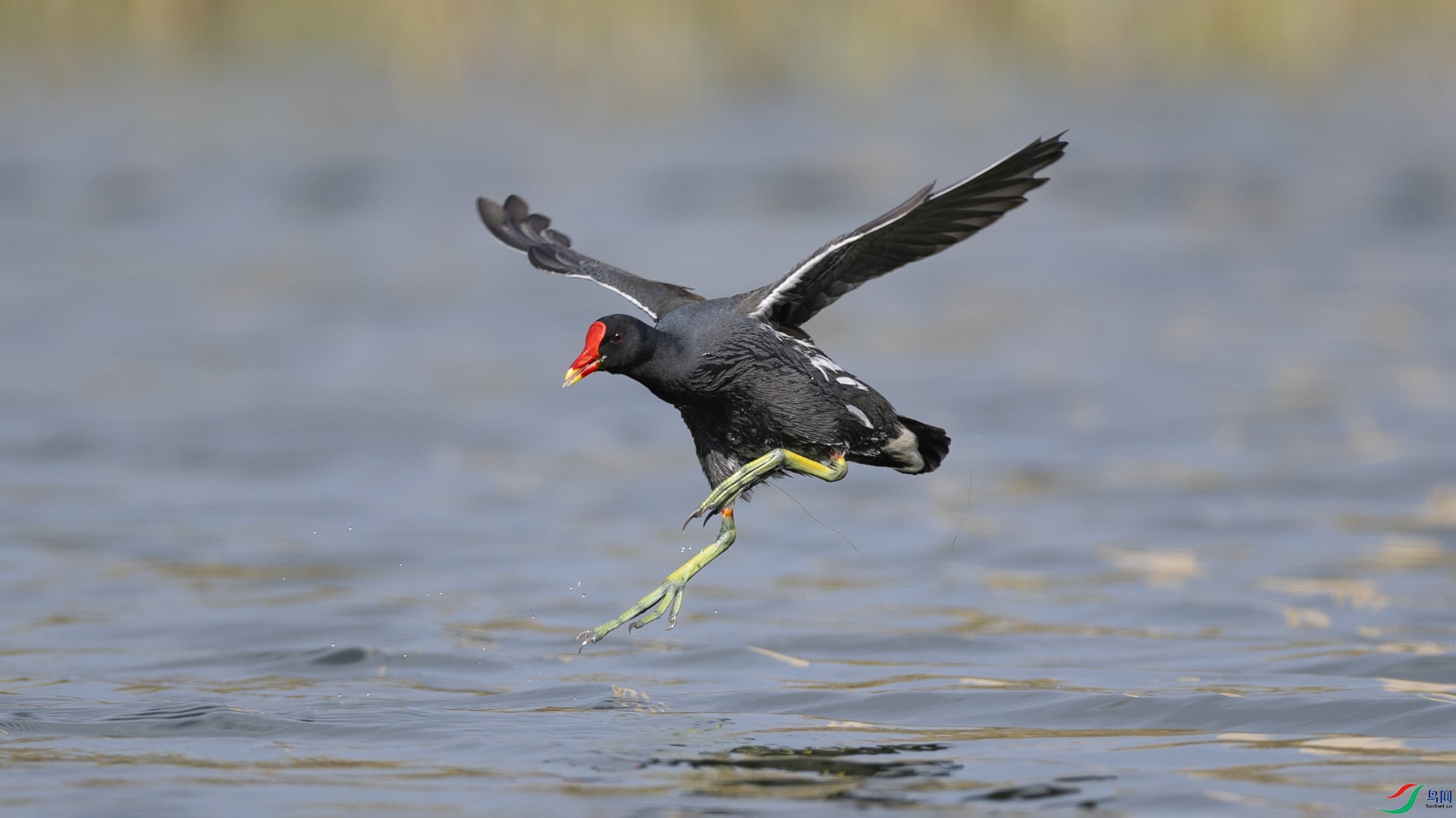 0B3A0430.jpg