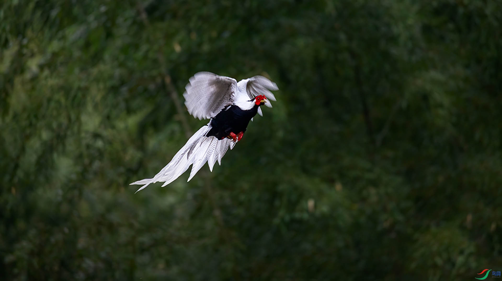 _FQ_1816-01.jpg