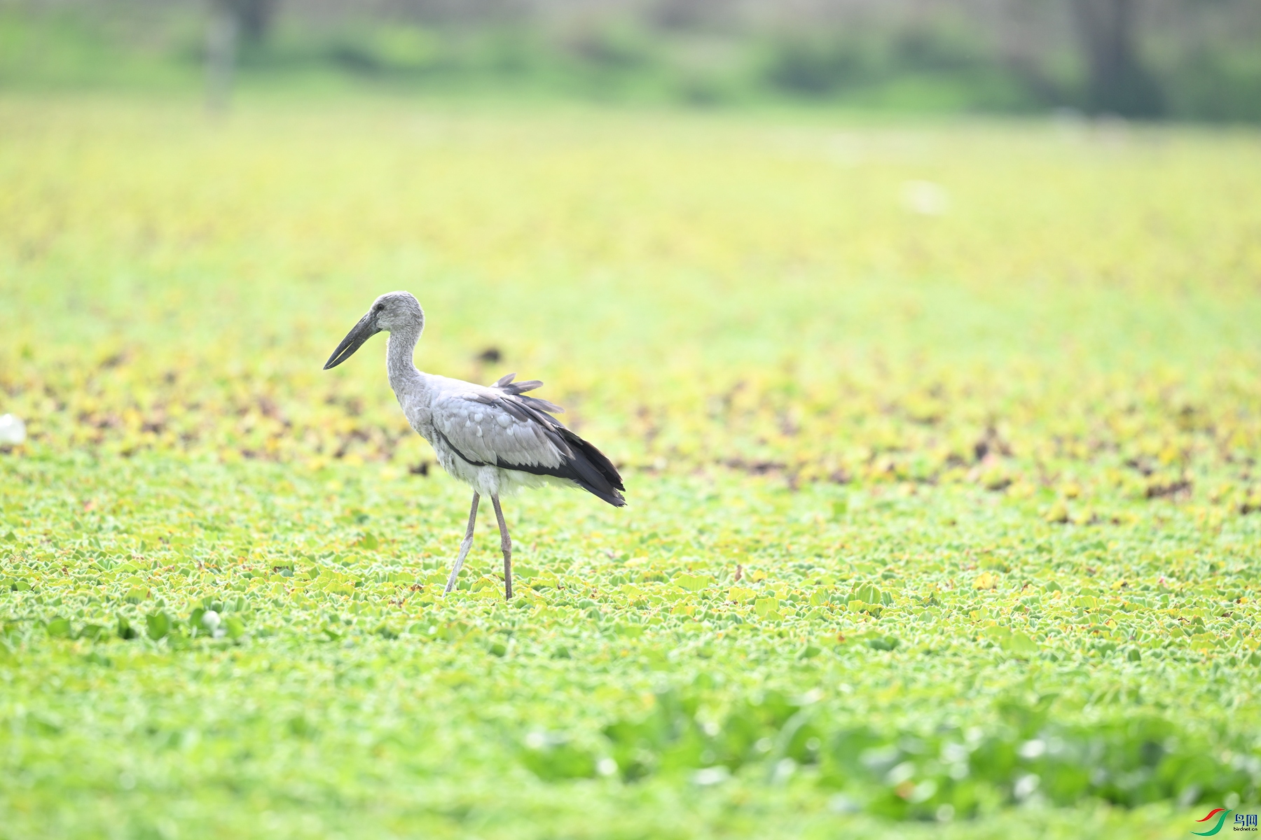 DSC_6183.JPG