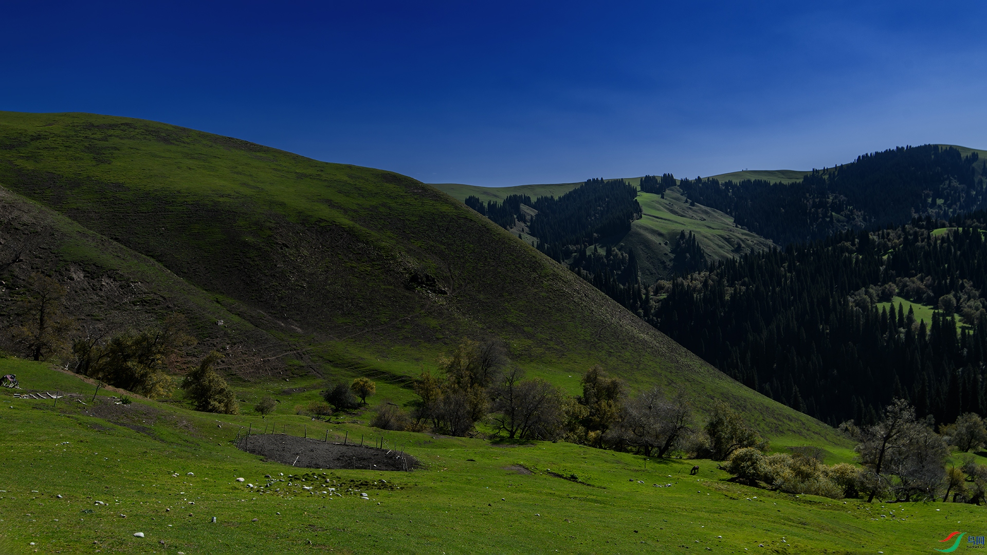 DSC_1371-20260816��.jpg