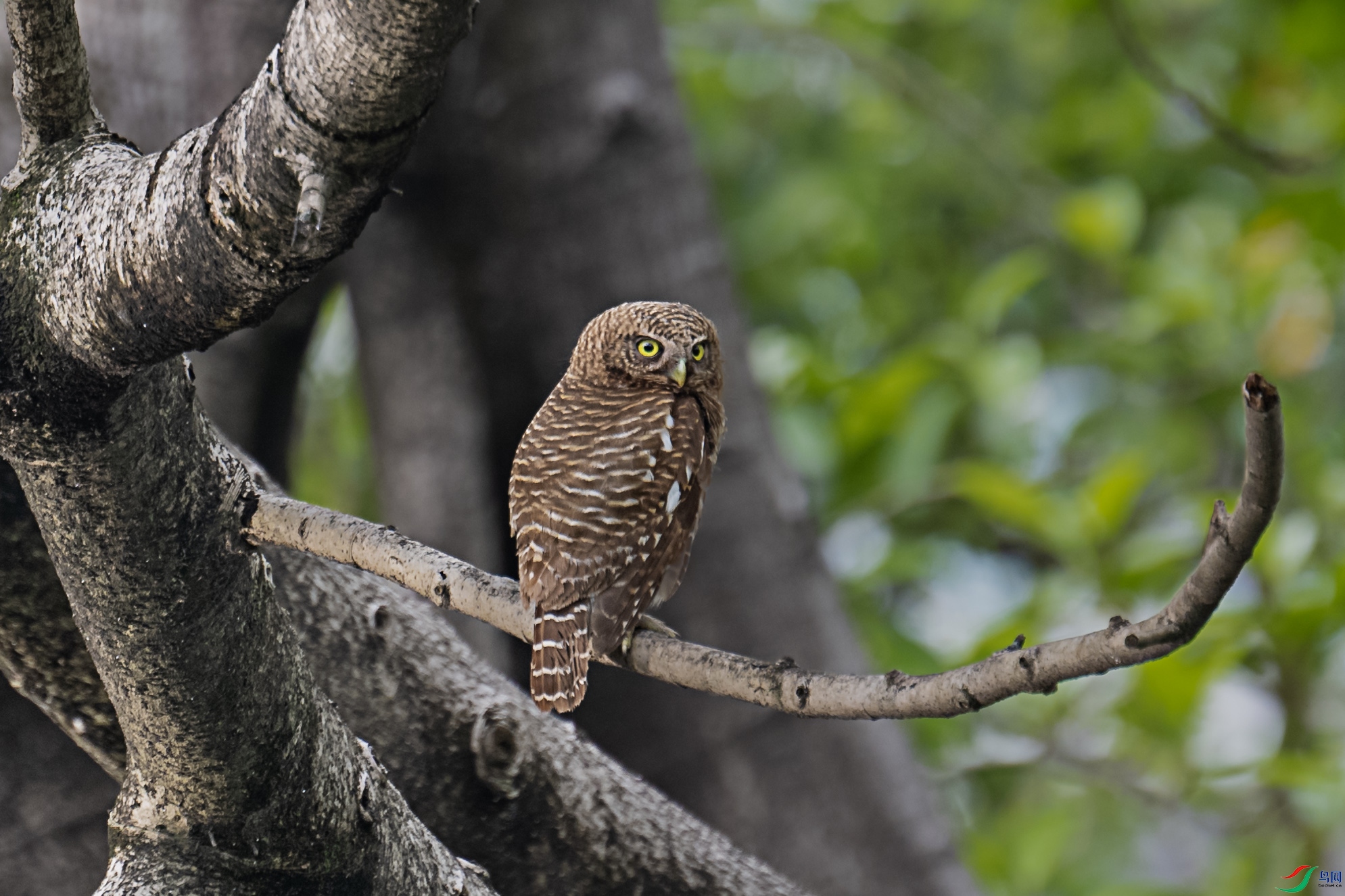 DSC_4757.jpg