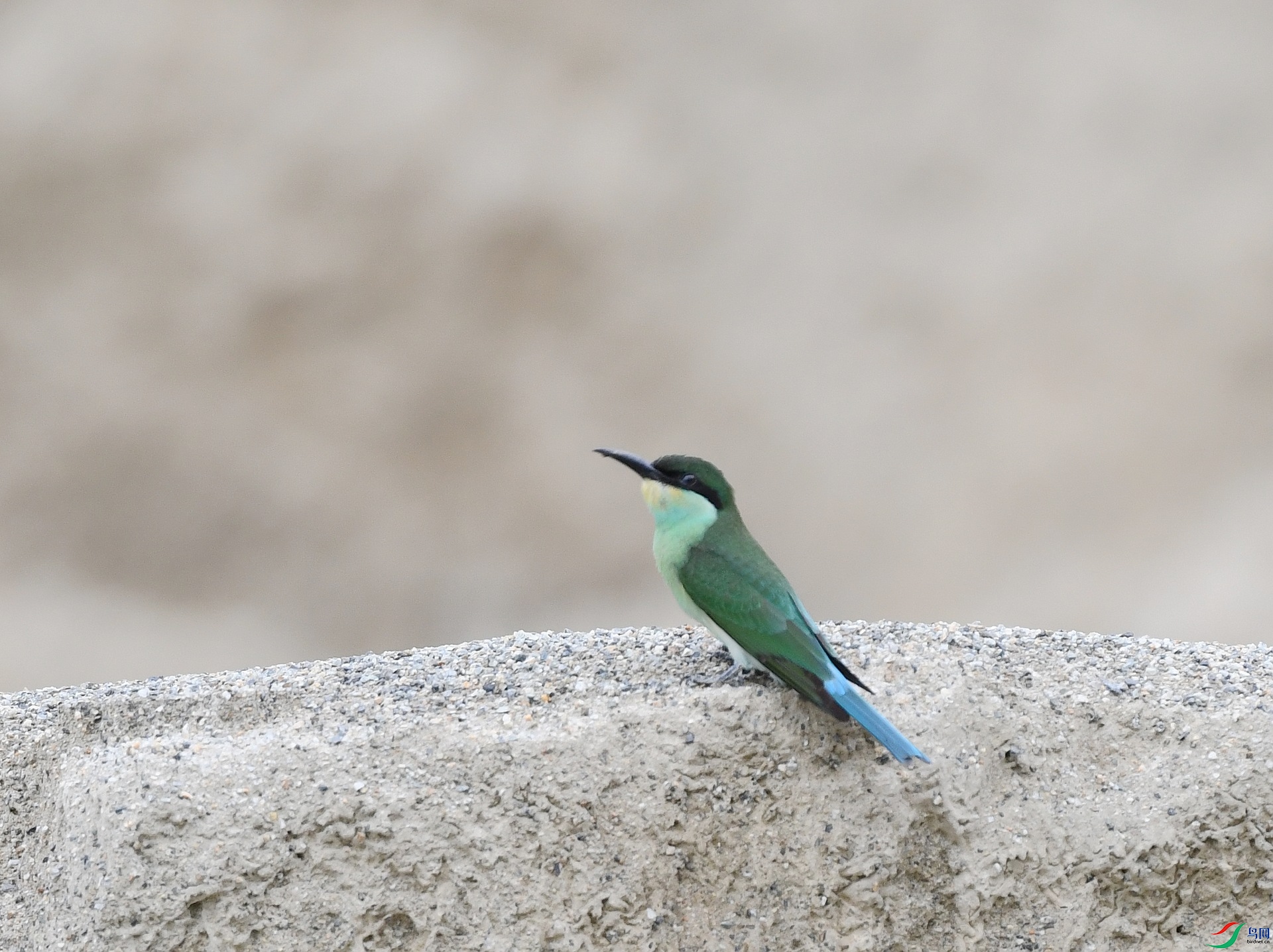 DSC_4705.jpg