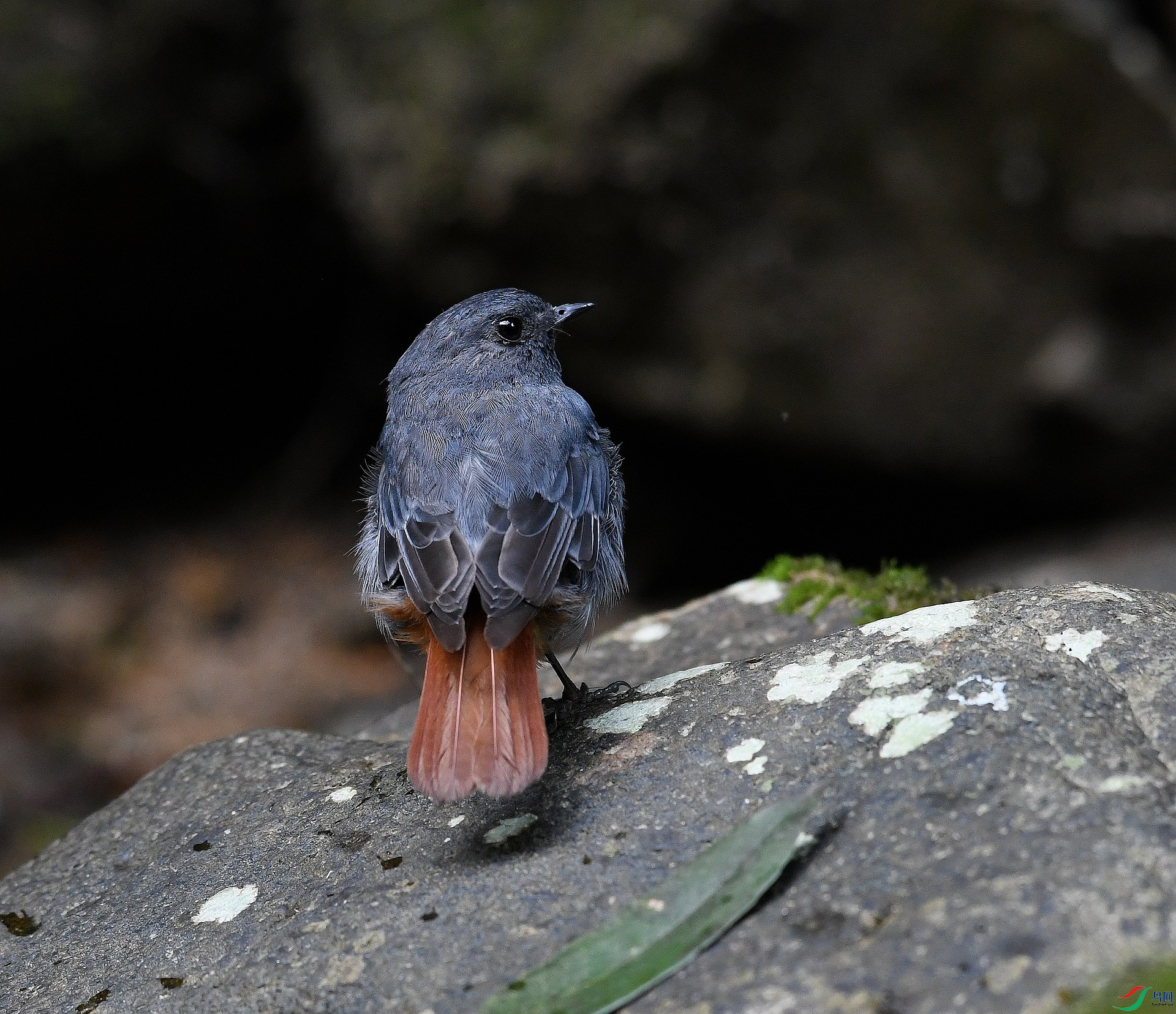 DSC_3774.jpg