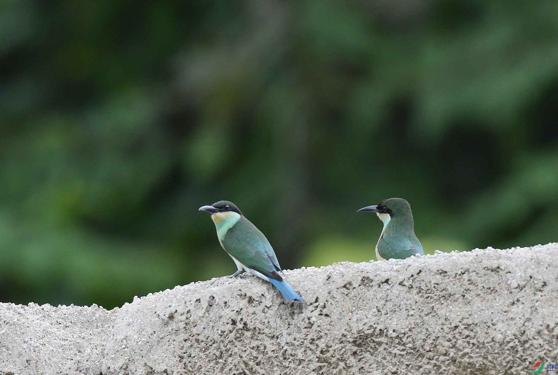 DSC_4690.jpg