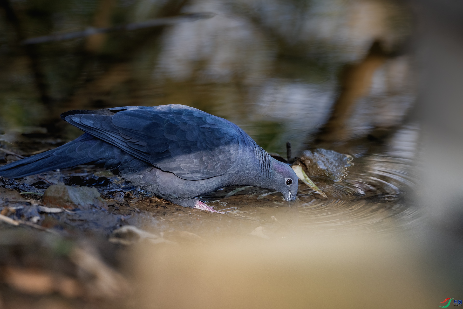 DSC_6939 ����.jpg