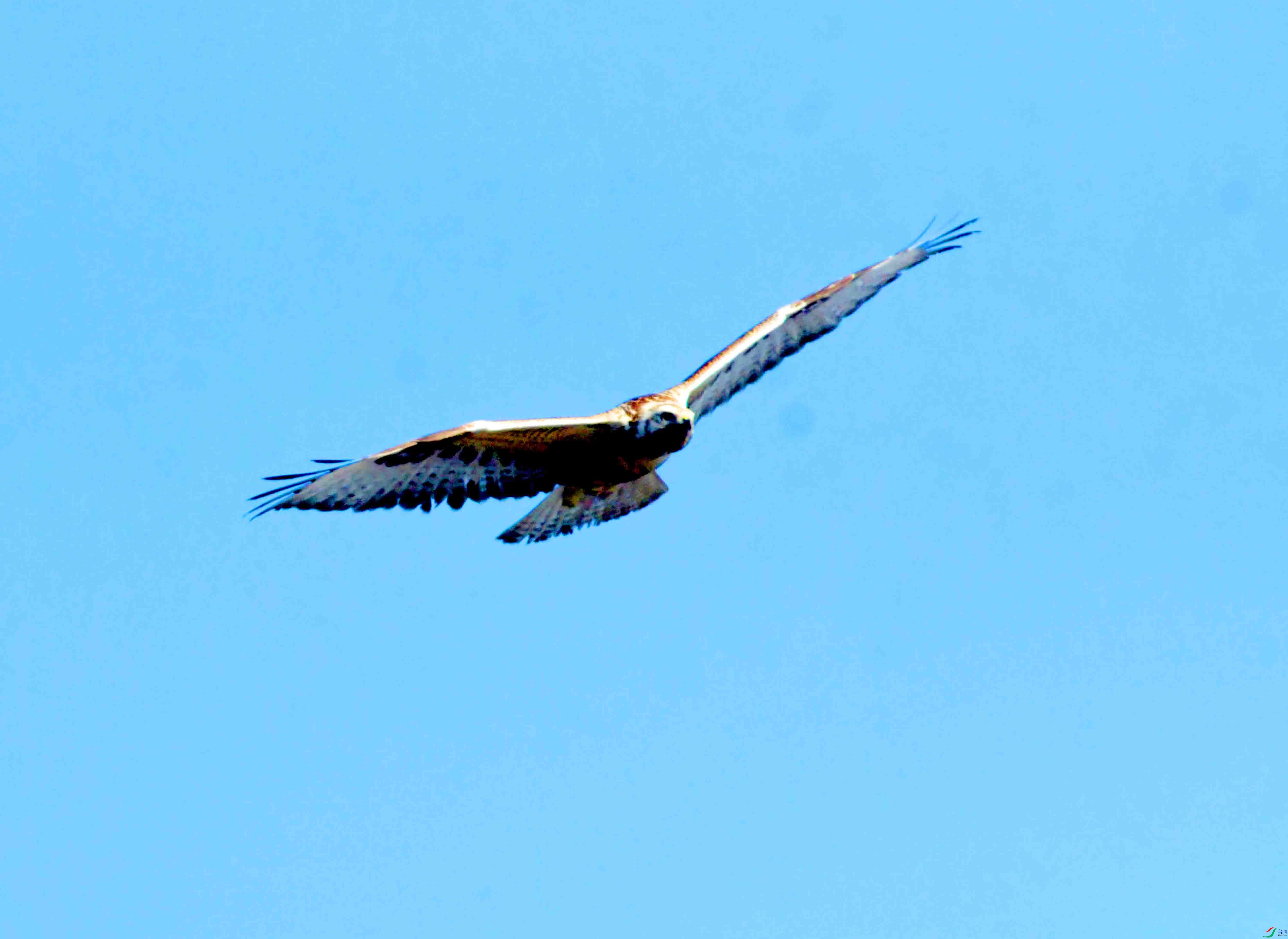 DSC_2631.JPG