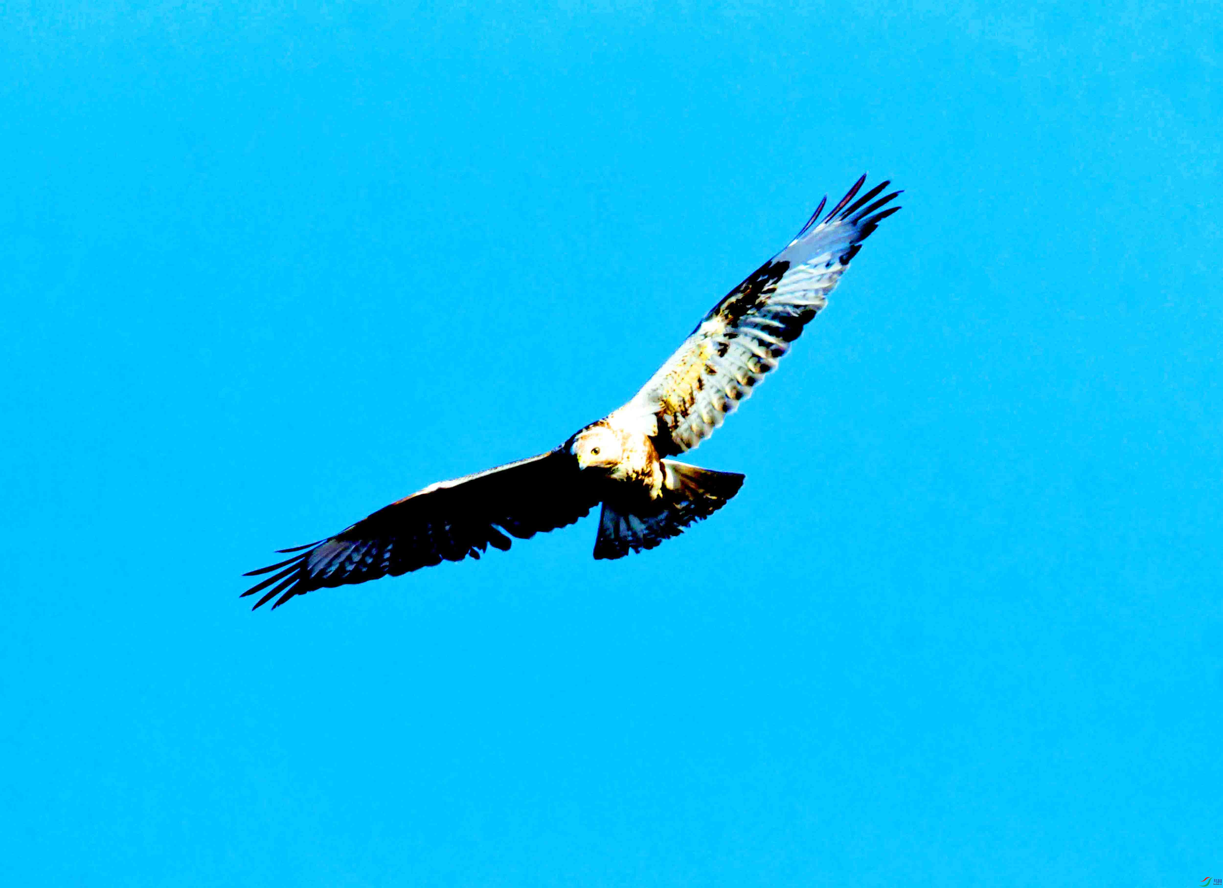 DSC_2632.JPG