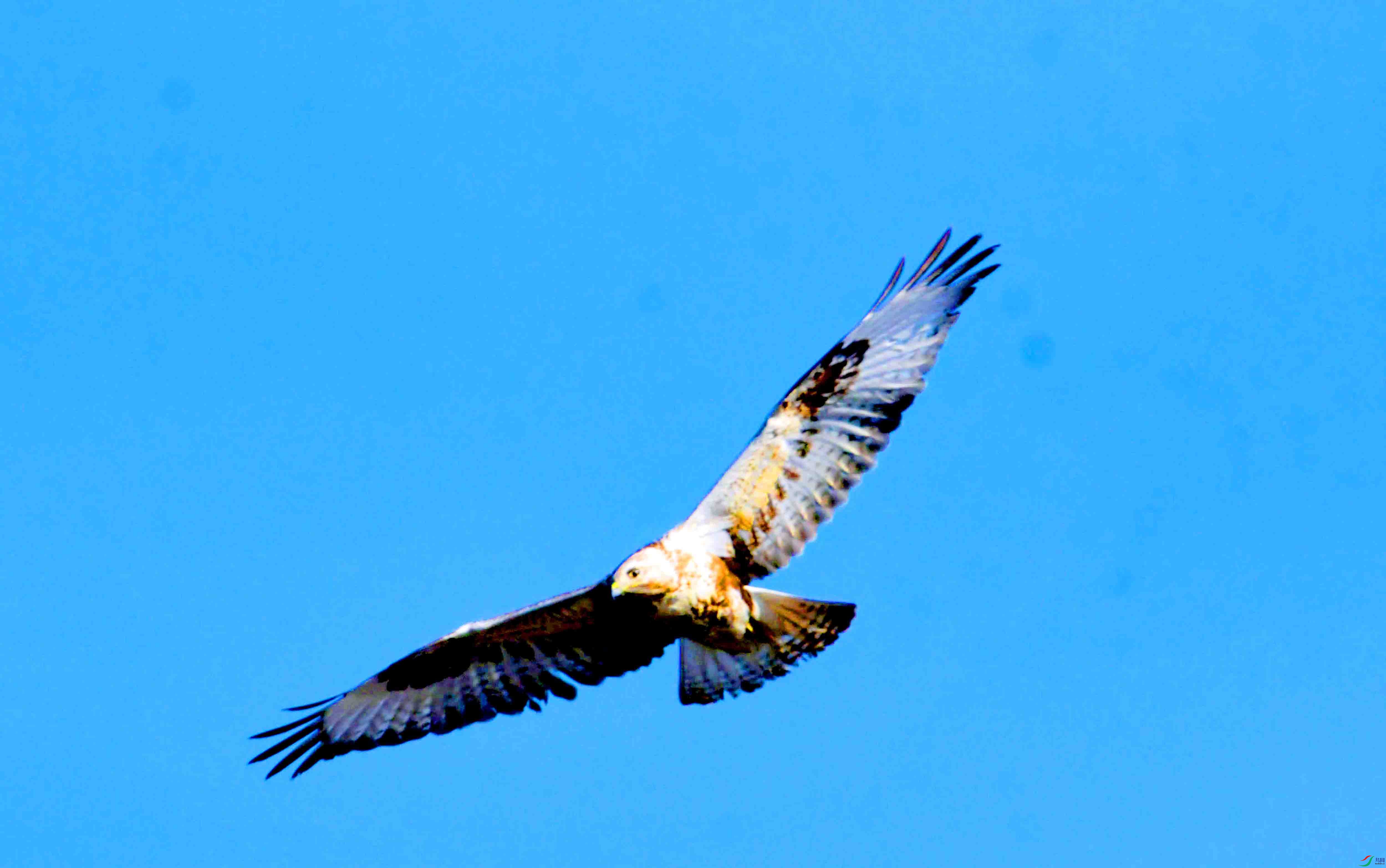DSC_2634.JPG