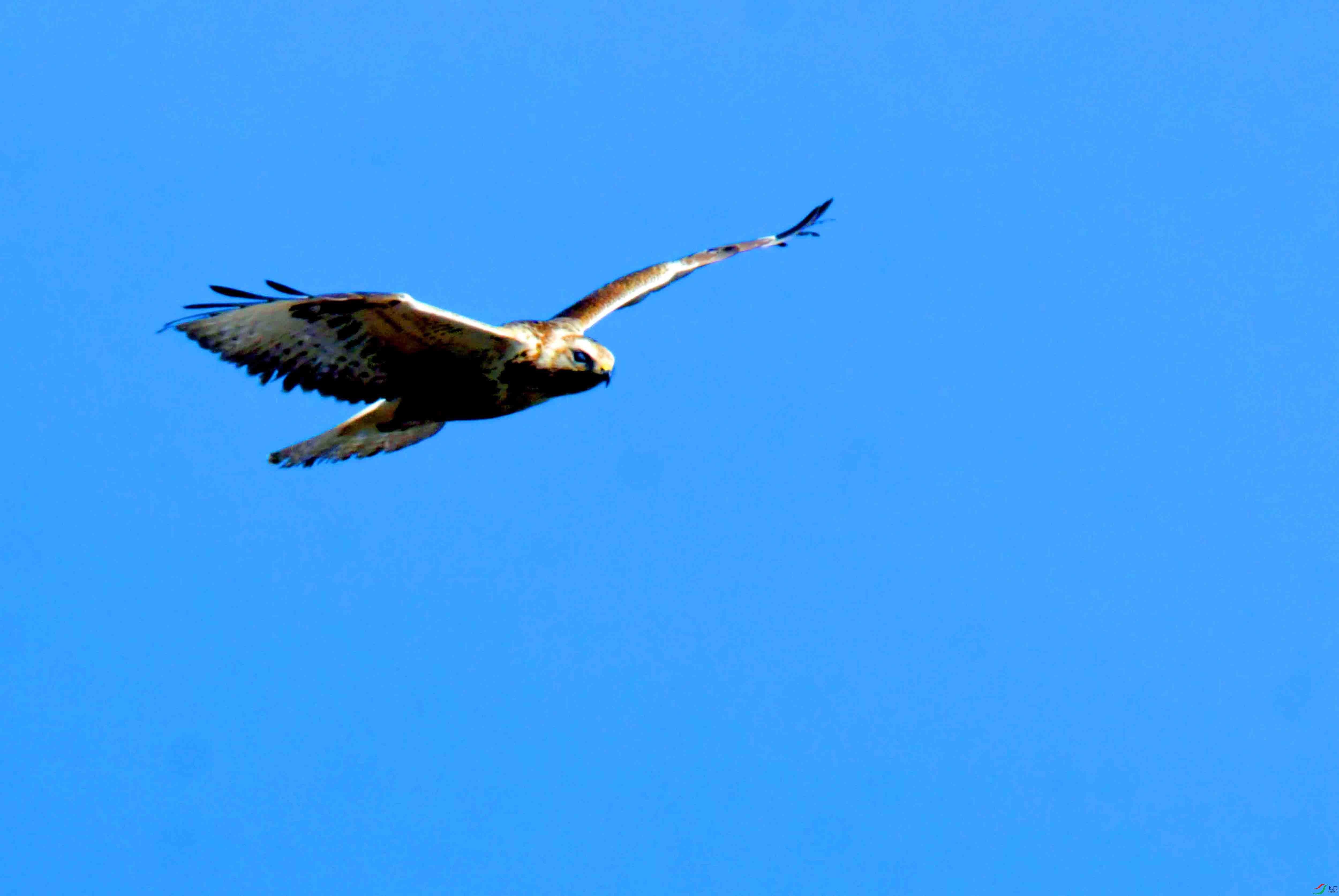 DSC_2639.JPG