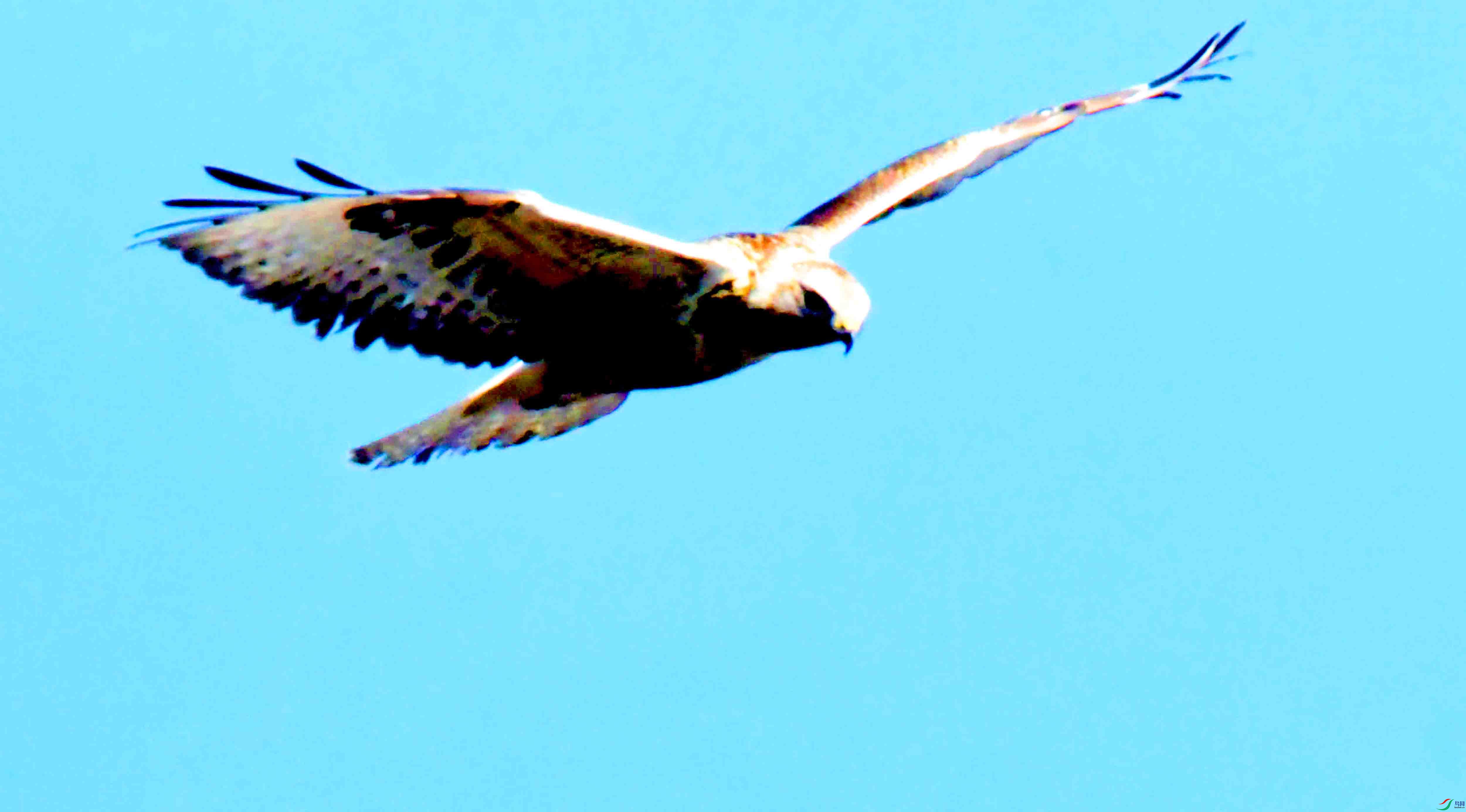 DSC_2640.JPG